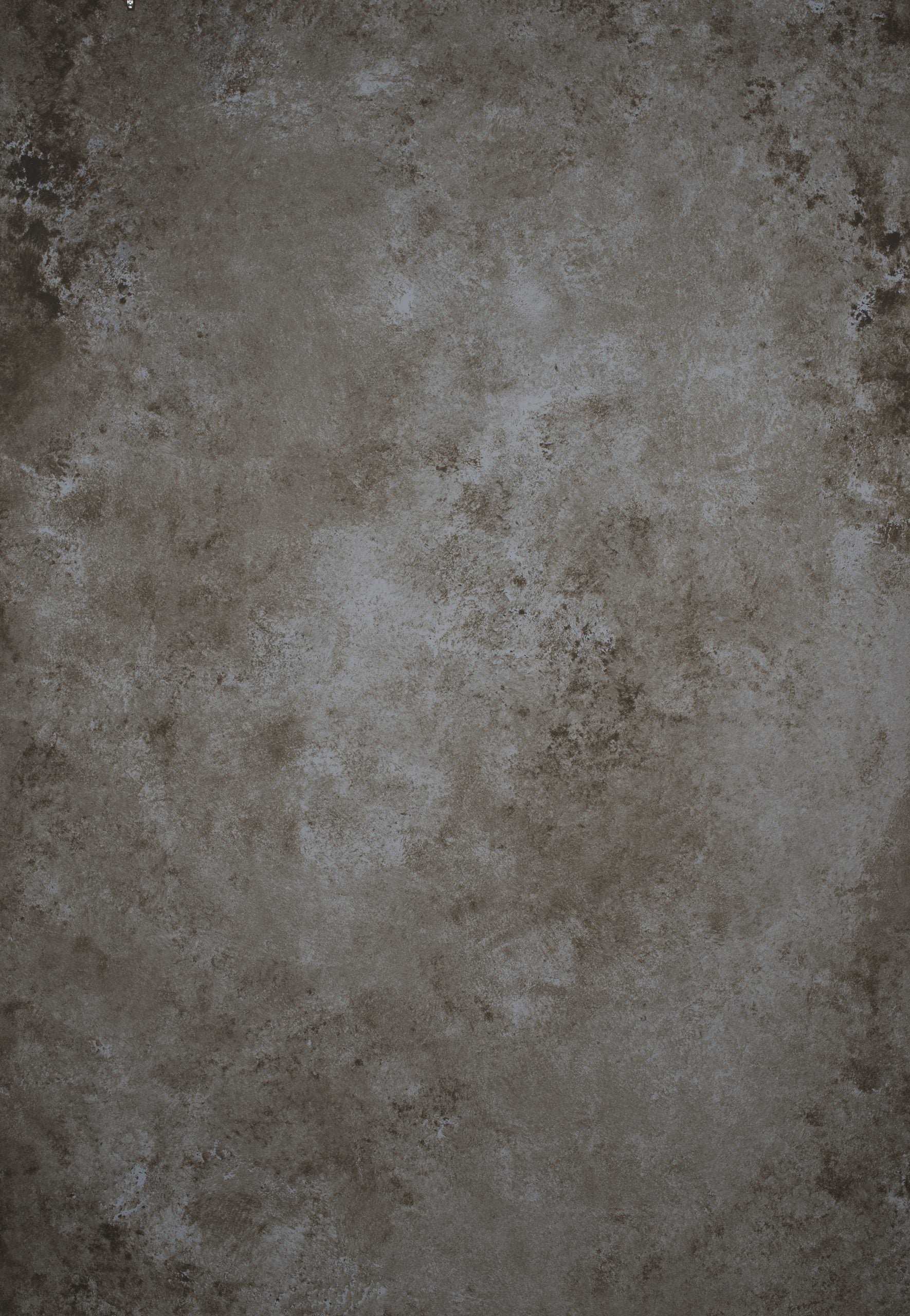 Cold Grey Brown Backdrop Strong Text M 12170