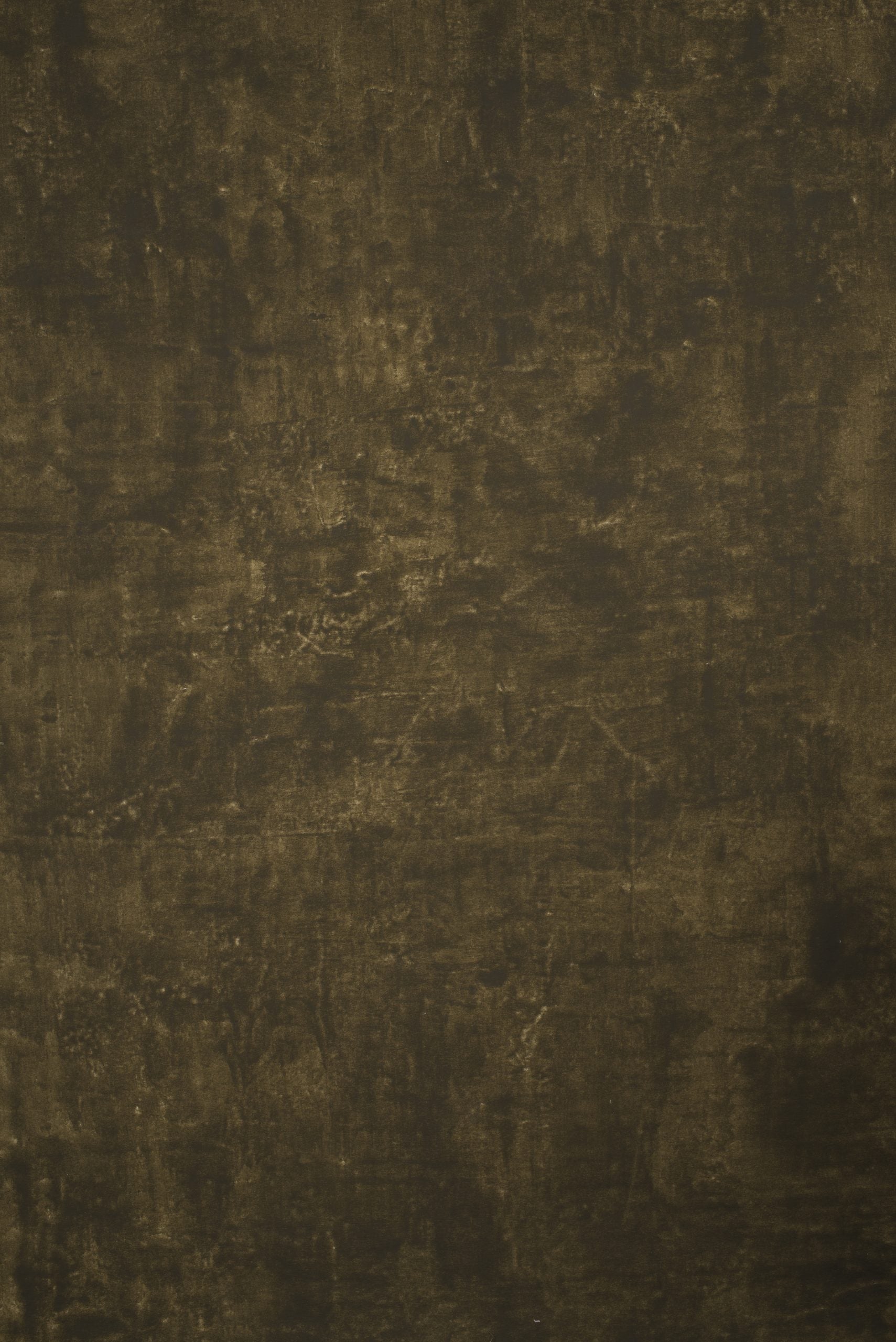 12173 Olive Green Brown Strong Text M