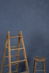 1220 Blue Mid Text L+