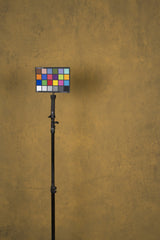12207 Ochre Mid Text M