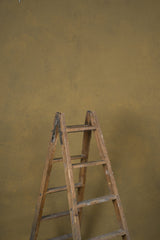 12208 Ochre Mid Text M