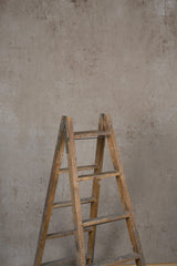 12209 Beige Mid Text M
