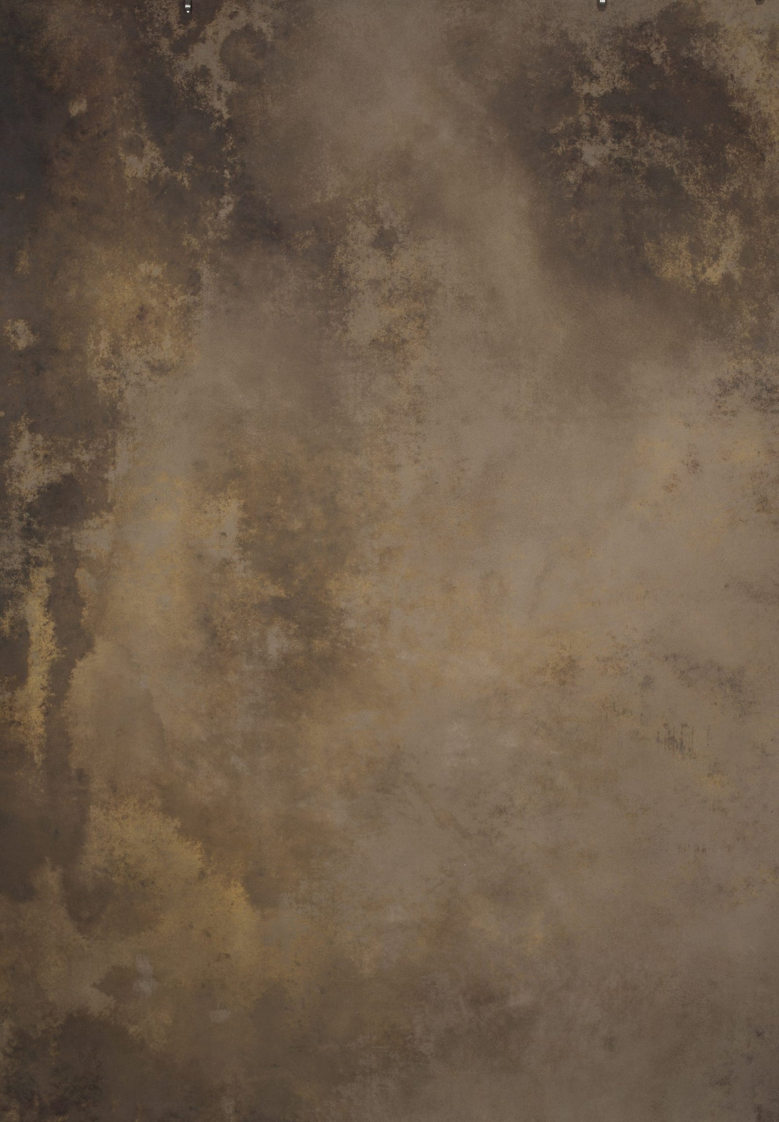 12214 Beige Brown Strong Text M