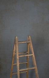 12223 Cold Grey Mid Text ST