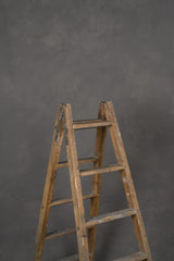 12228 Warm Grey Mid Text ST