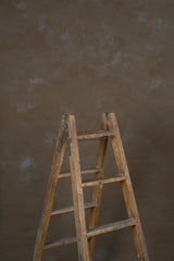 12229 Warm Grey Mid Text ST