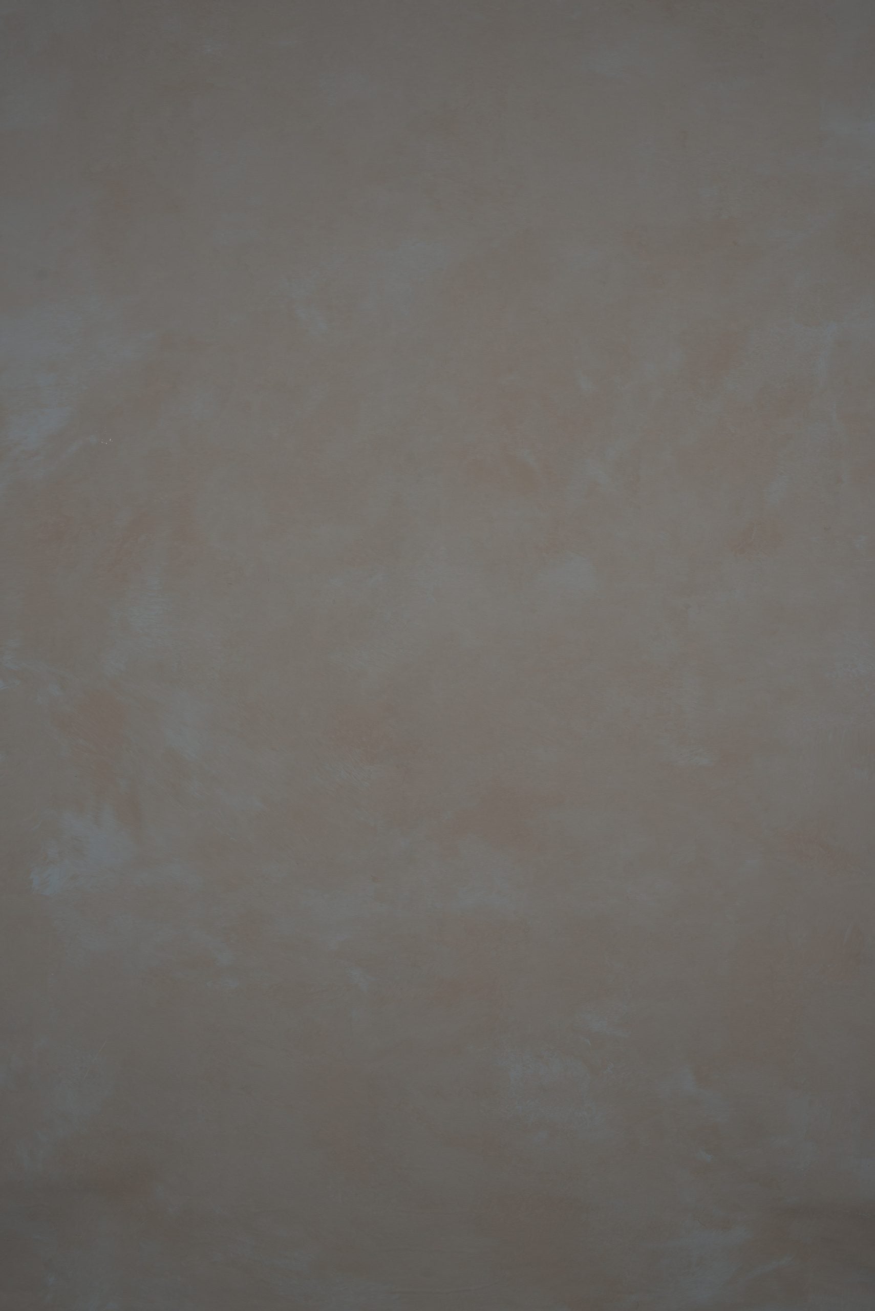 12230 Cold Grey Mid Text ST