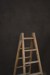 12232 Dark Warm Grey Low Text ST
