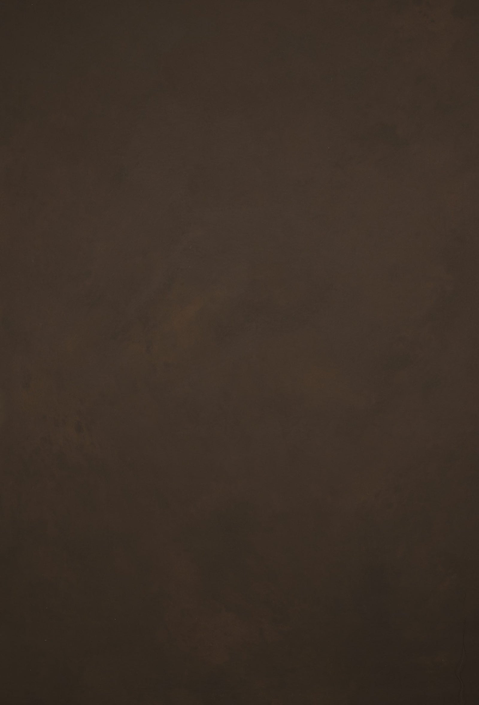 12234 Brown Low Text ST