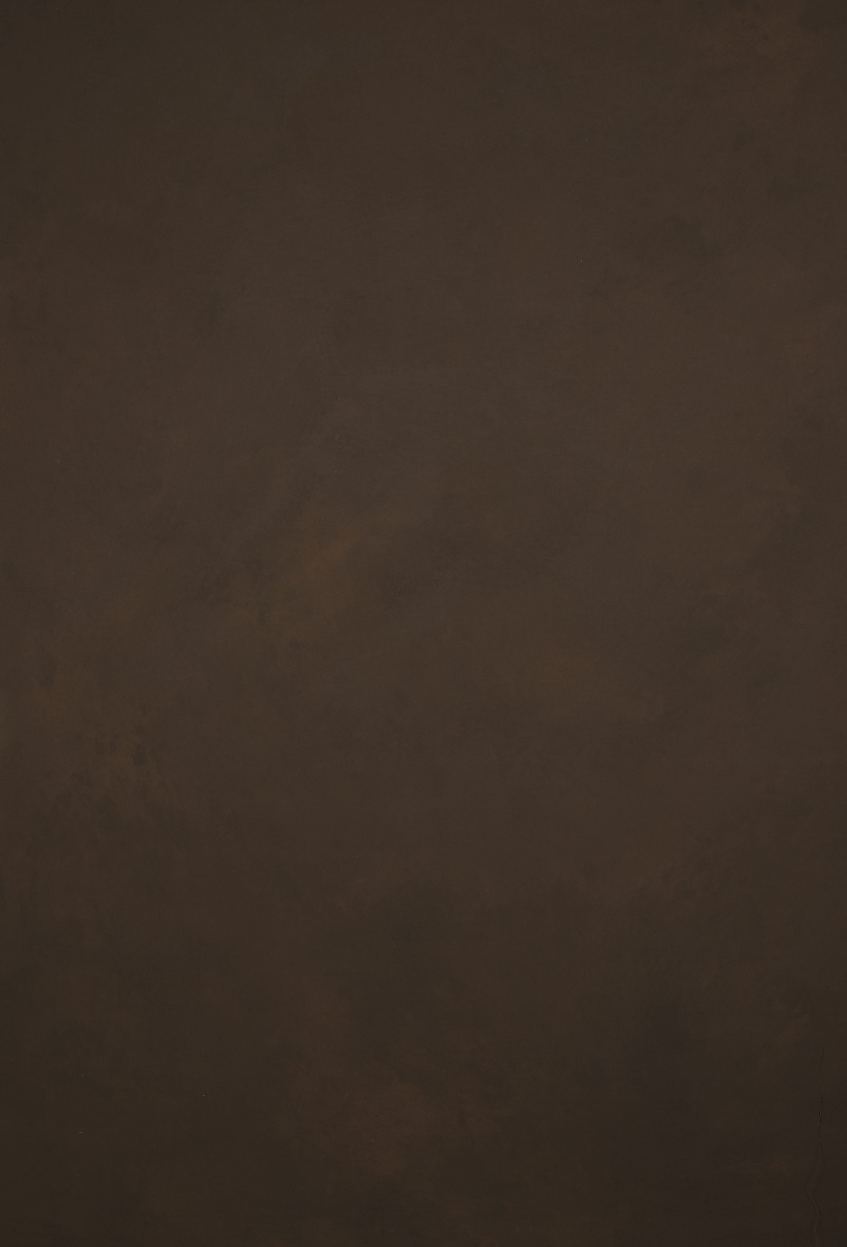 12234 Brown Low Text ST
