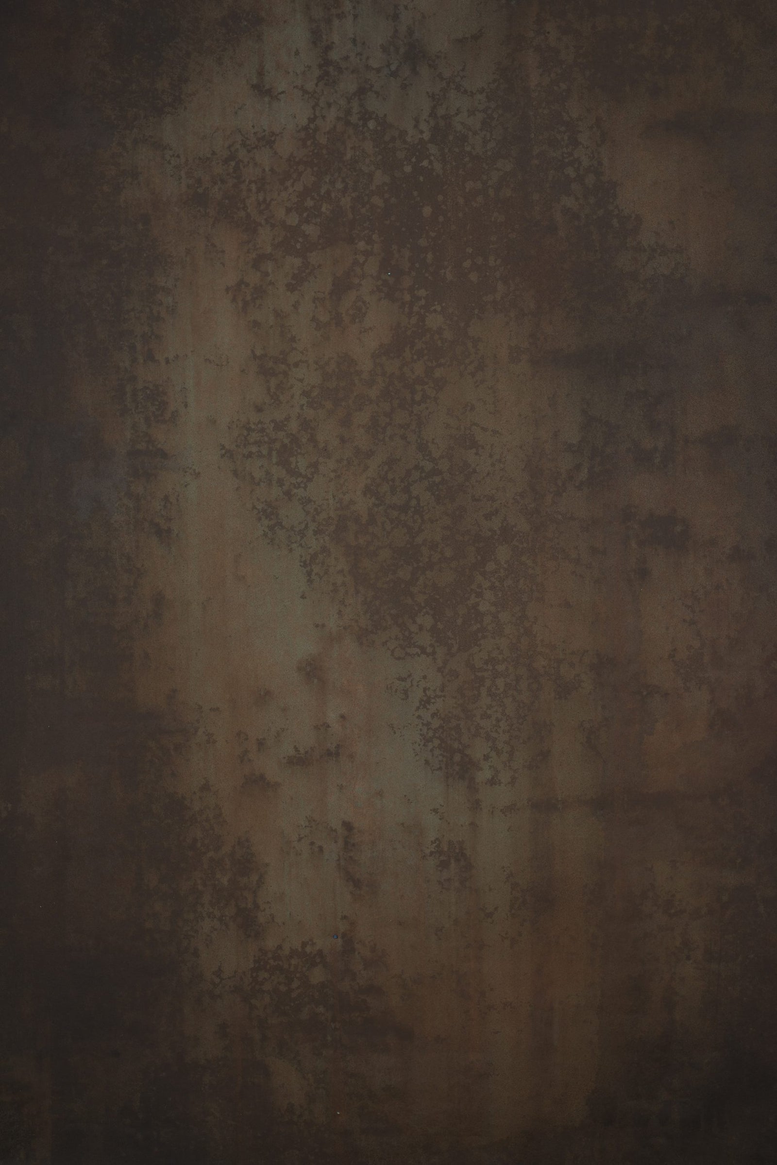 12242 Brown Tirquize Strong Text ST