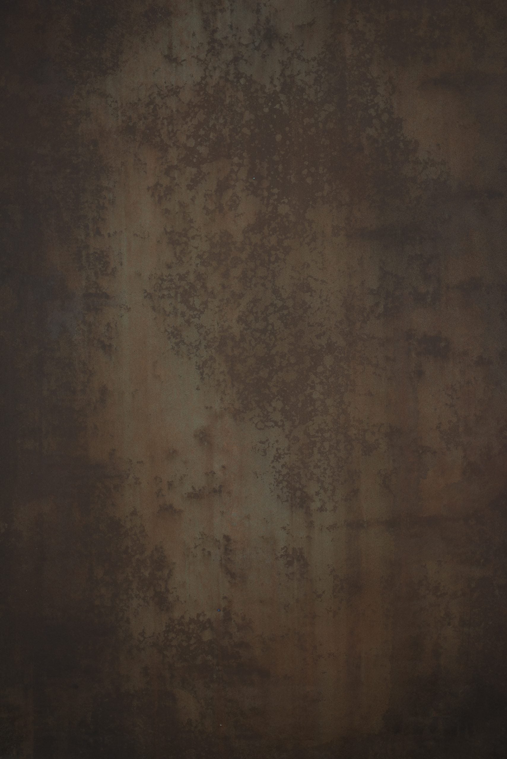 12242 Brown Tirquize Strong Text ST