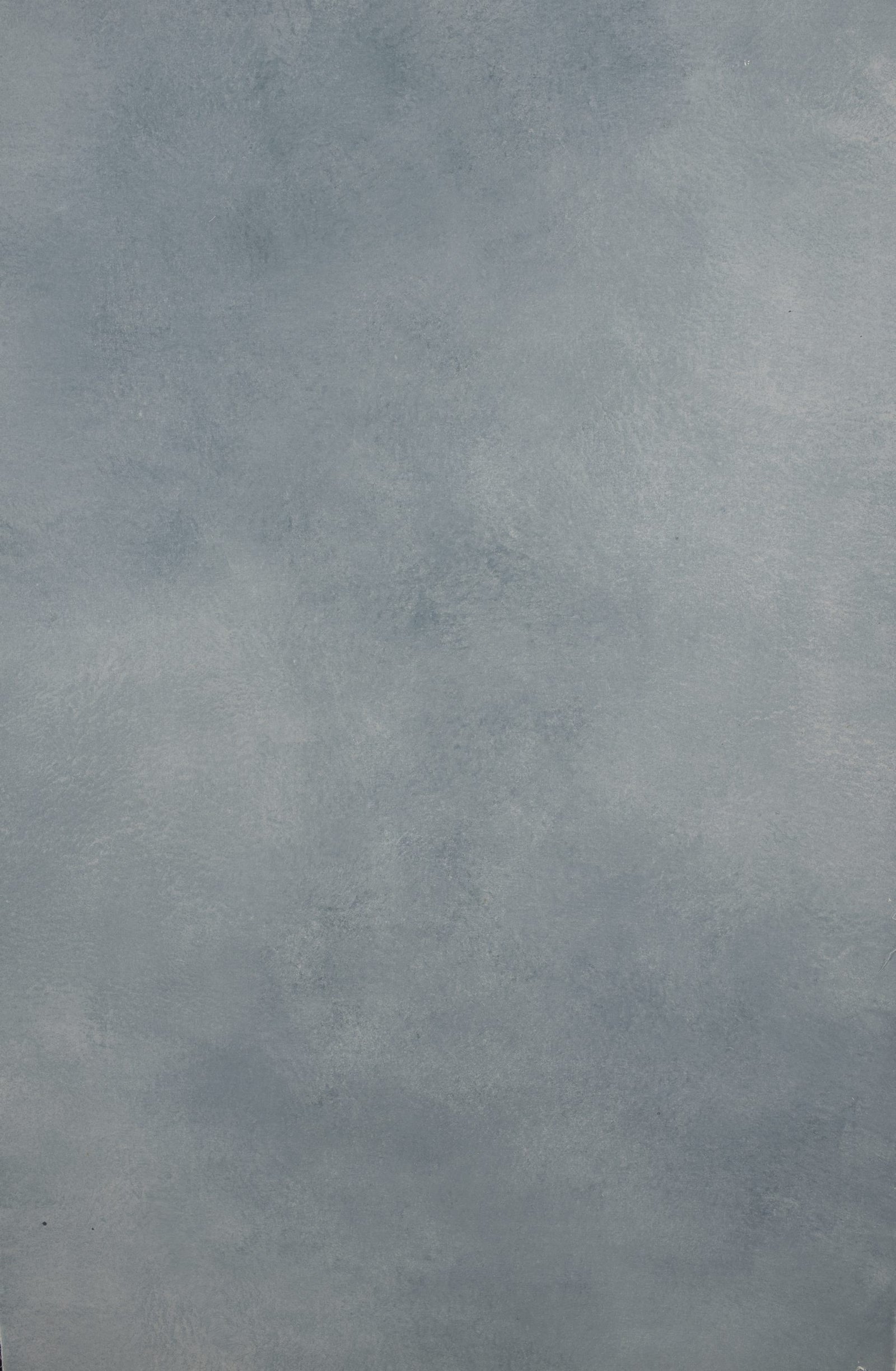 12274 Light Cold Grey Distressed Text XS