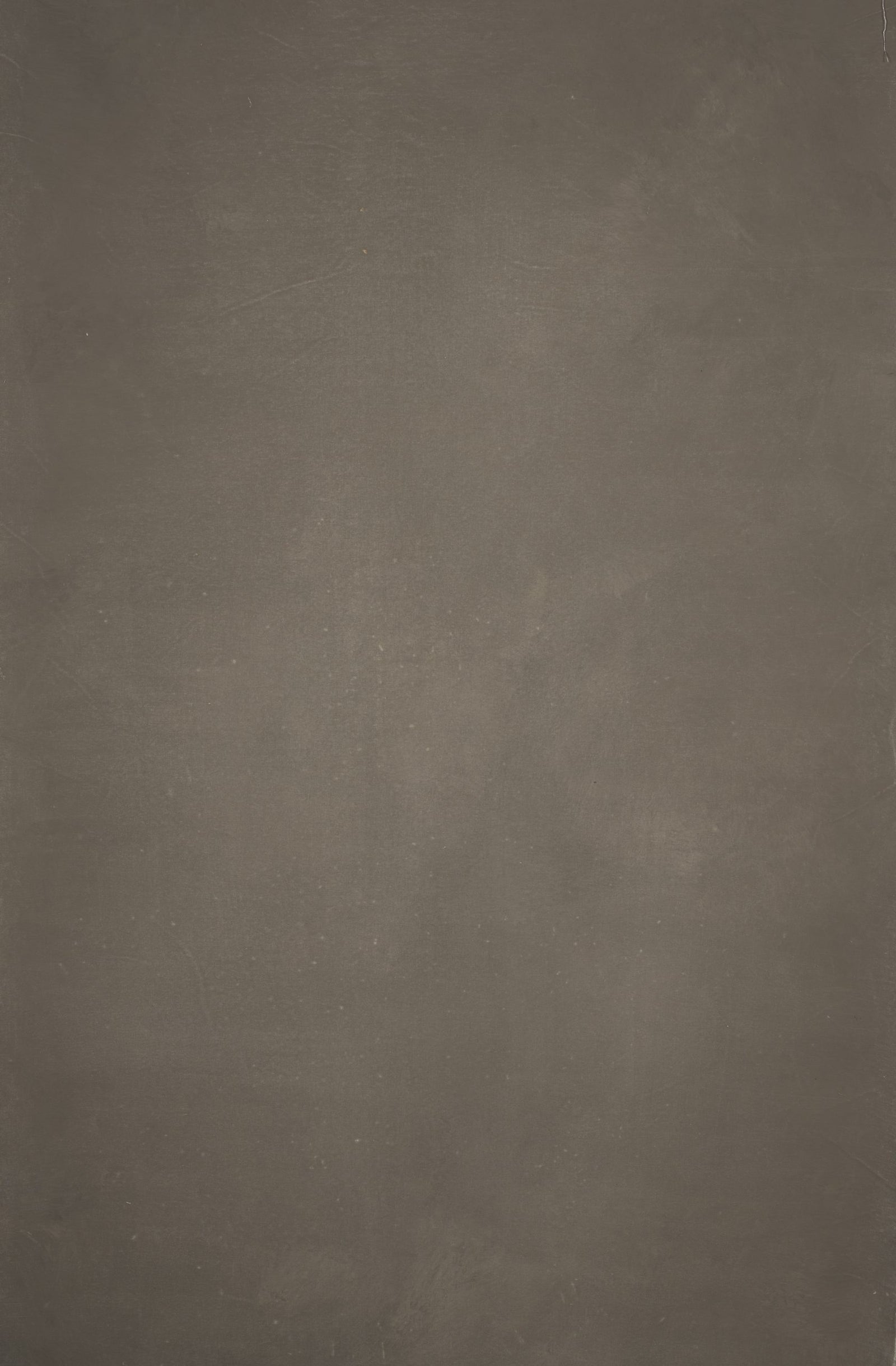 12291 Warm Grey Distressed Text XS