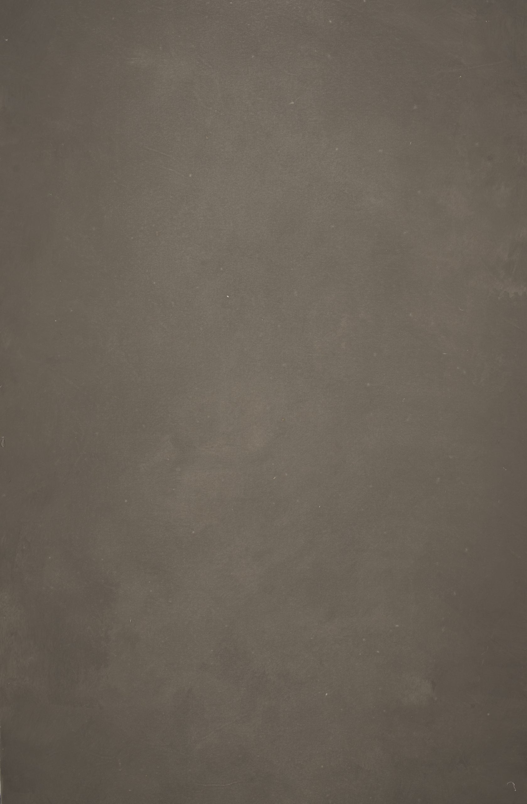 12301 Warm Grey Distressed Text XS