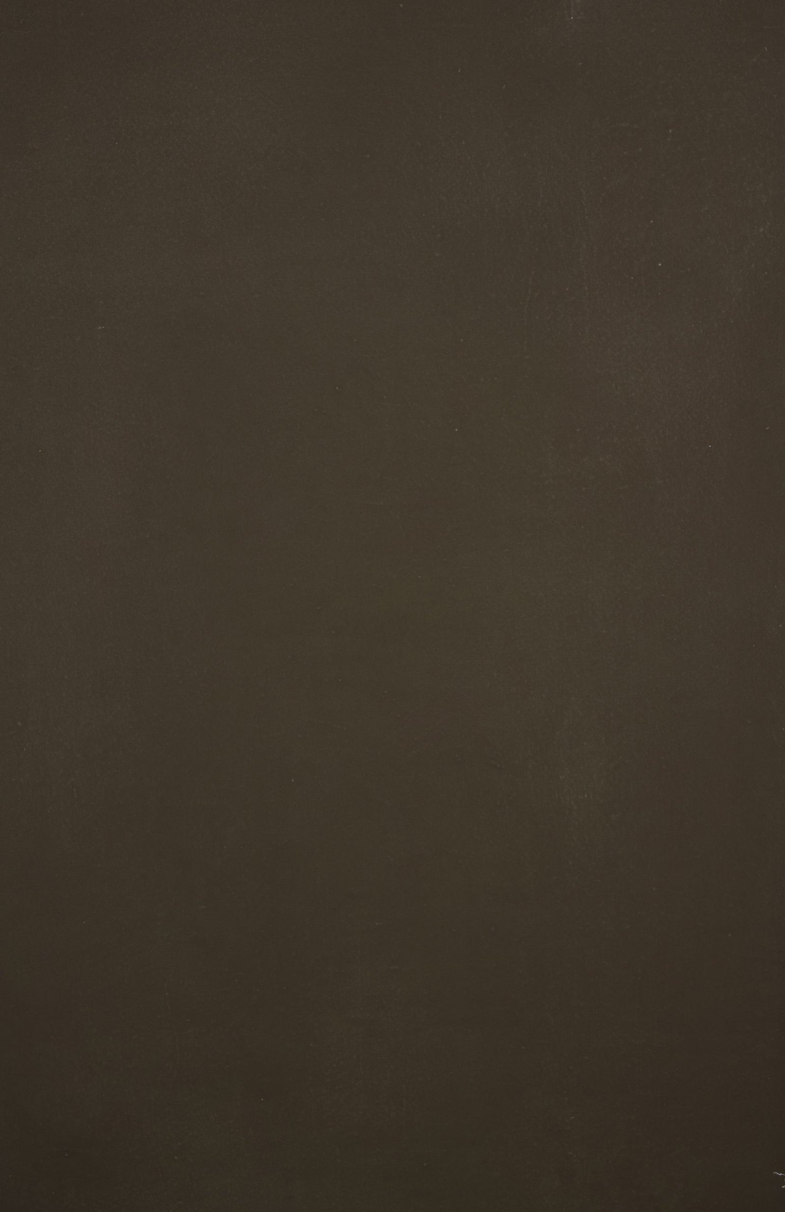 12304 Olive Green Distressed Text XS