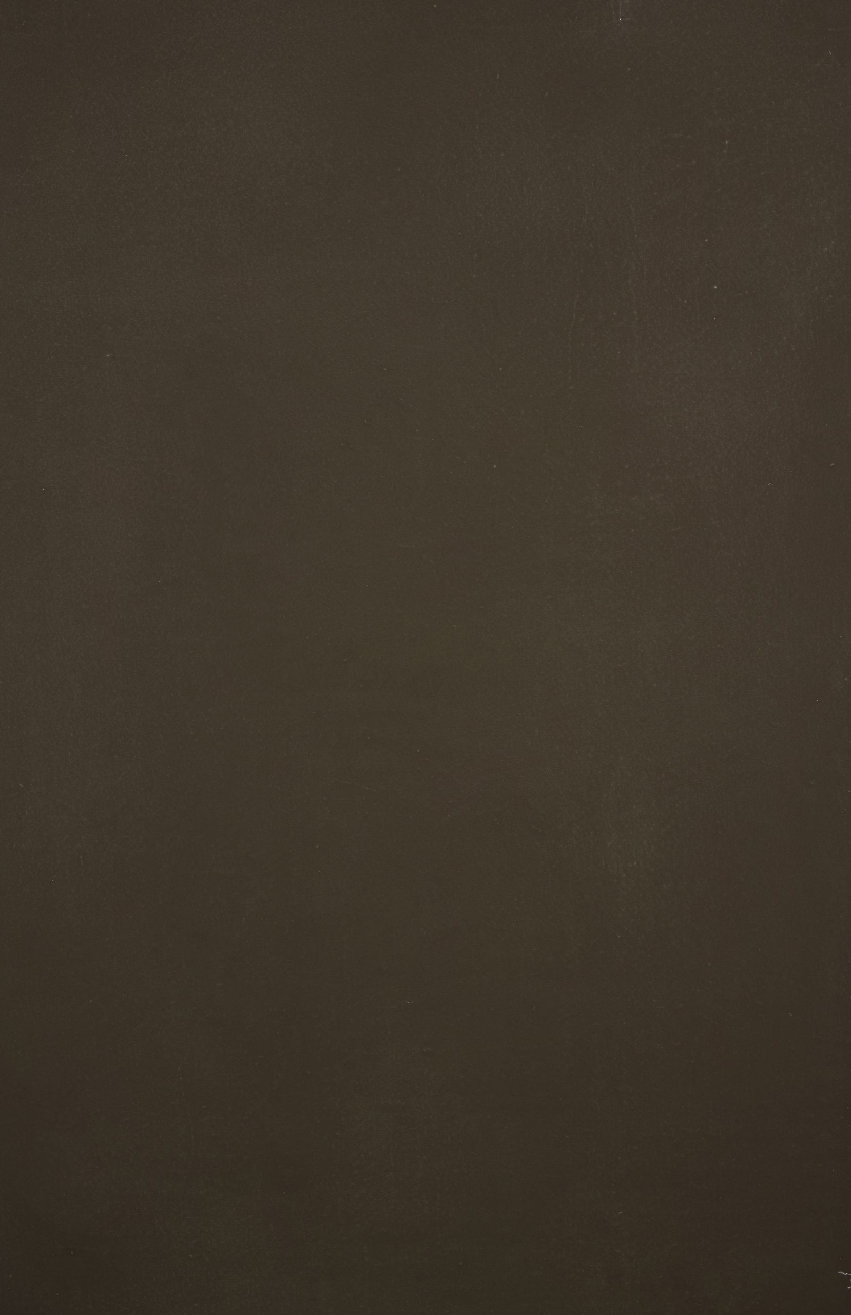 12304 Olive Green Distressed Text XS