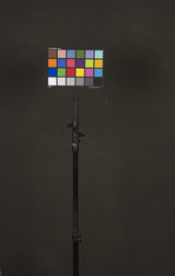 12306 Dark Warm Grey Distressed Text XS