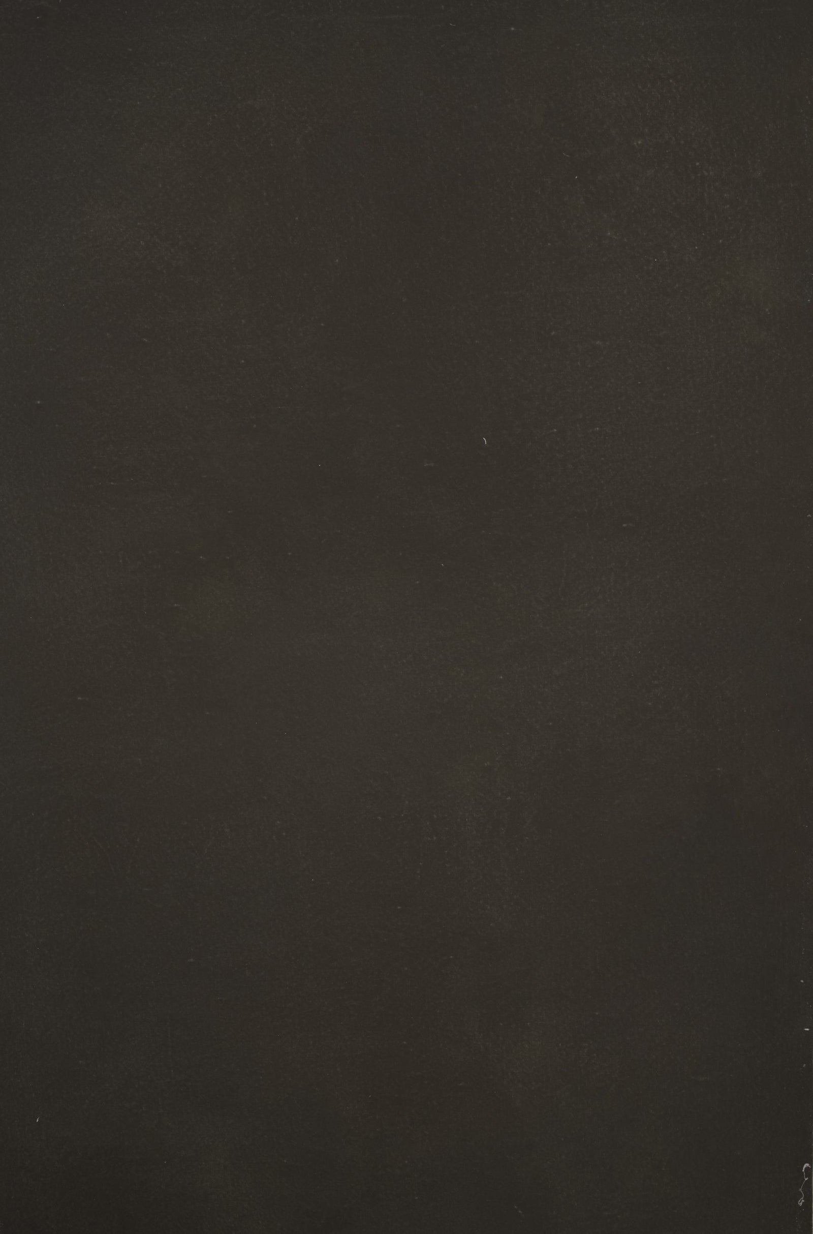 12306 Dark Warm Grey Distressed Text XS