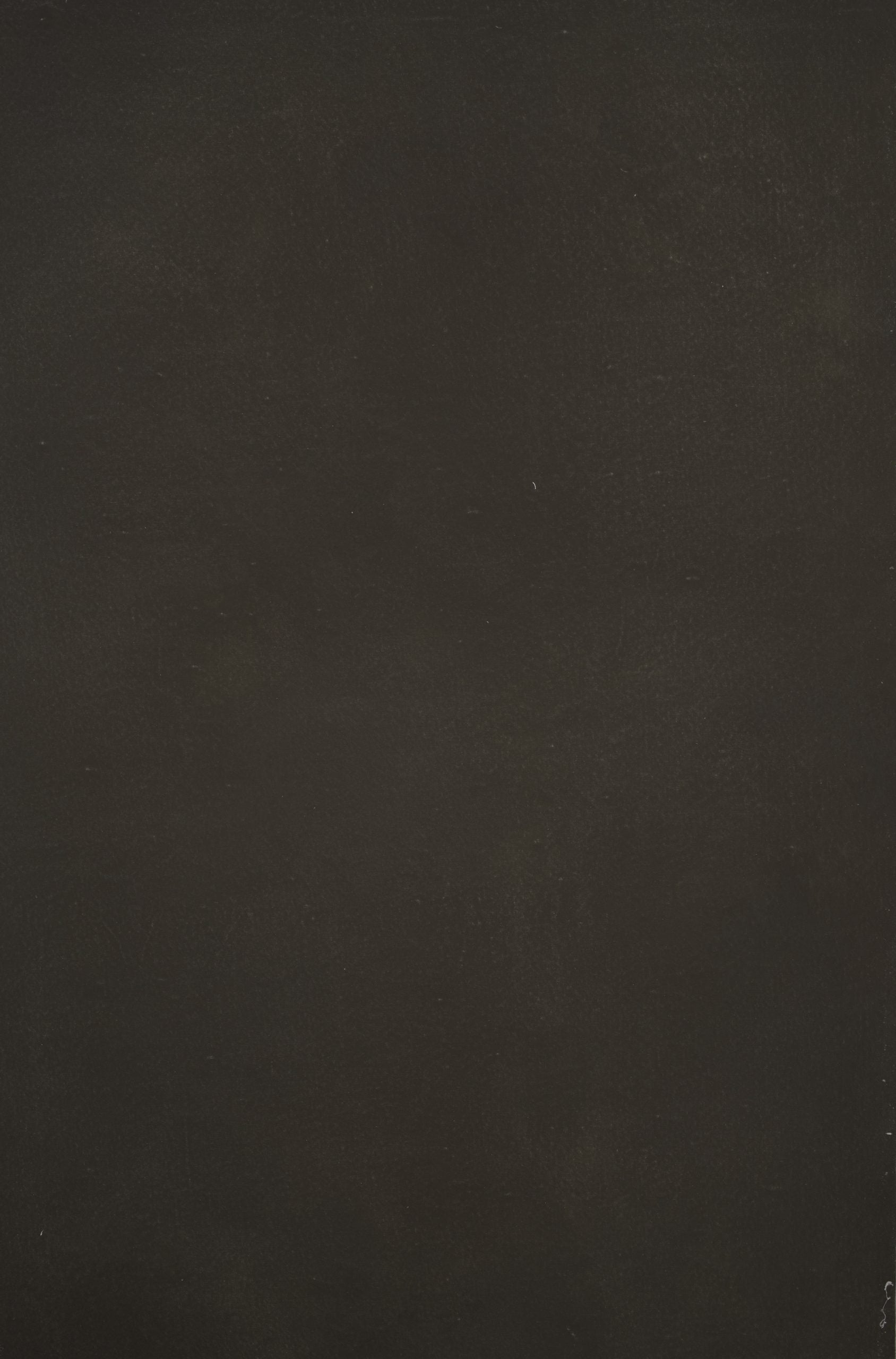 12306 Dark Warm Grey Distressed Text XS