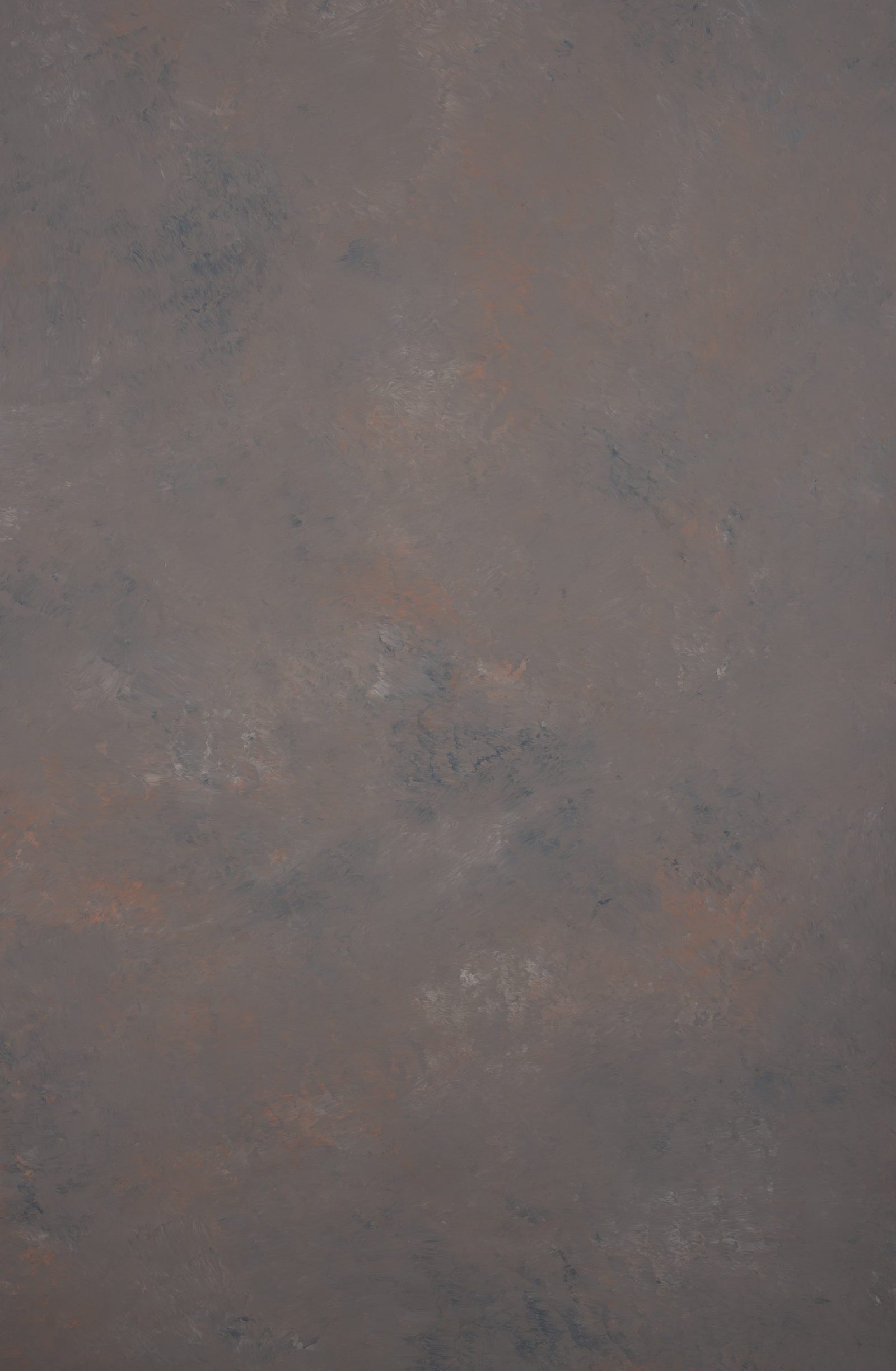 12311 Cold Grey Orange Mid Text XS