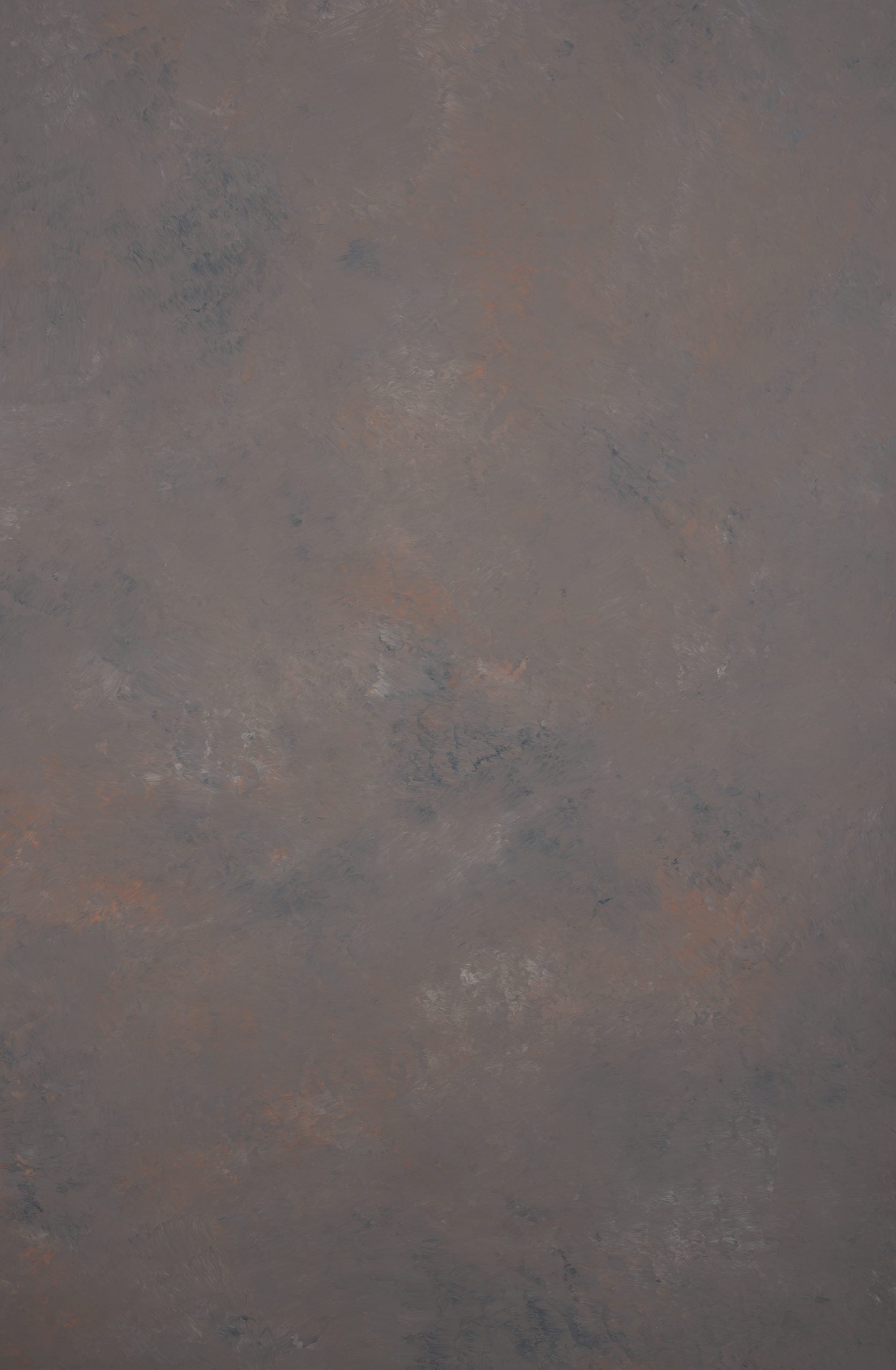 12311 Cold Grey Orange Mid Text XS