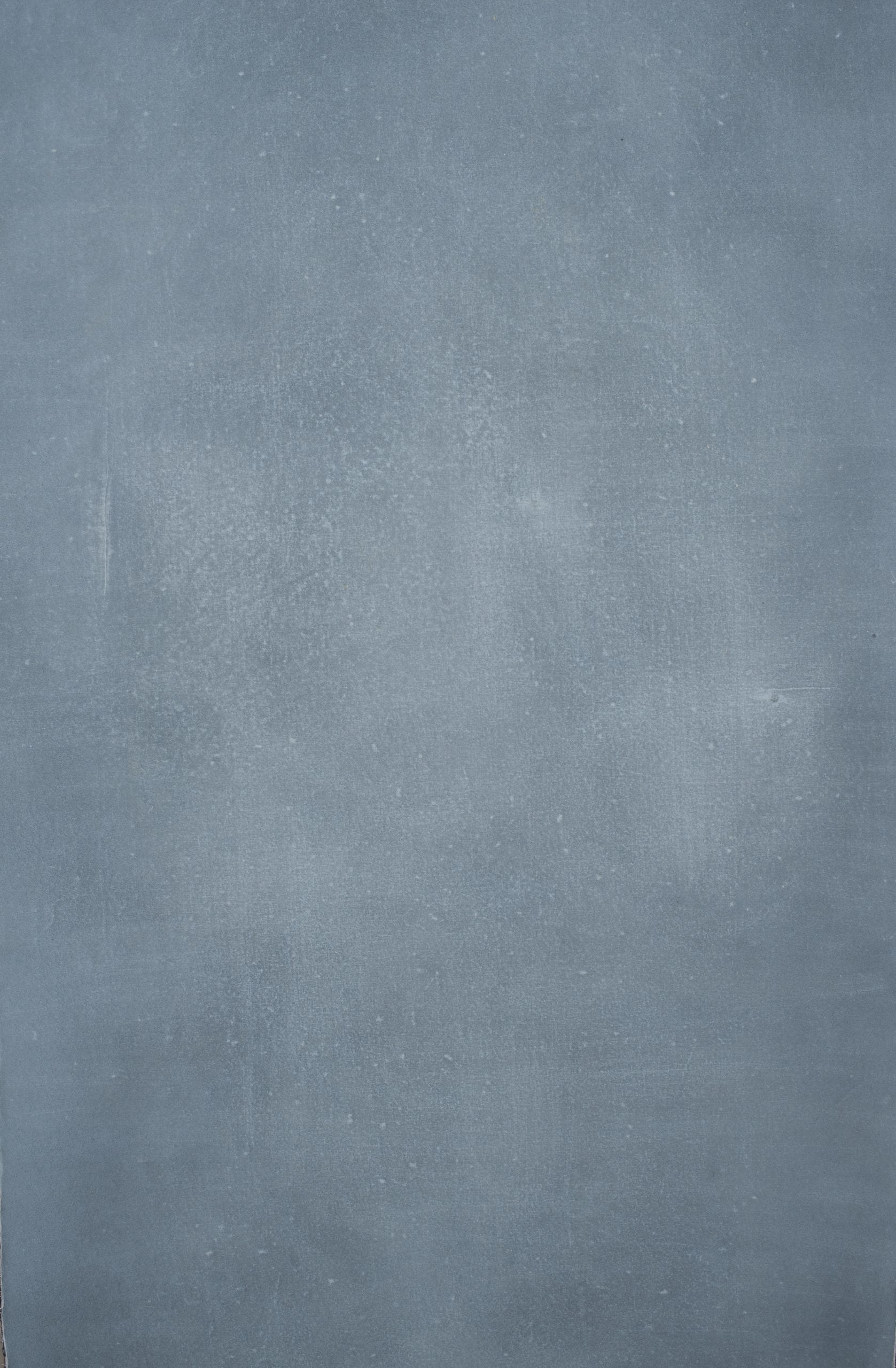 12317 Cold Grey Distressed Text XS