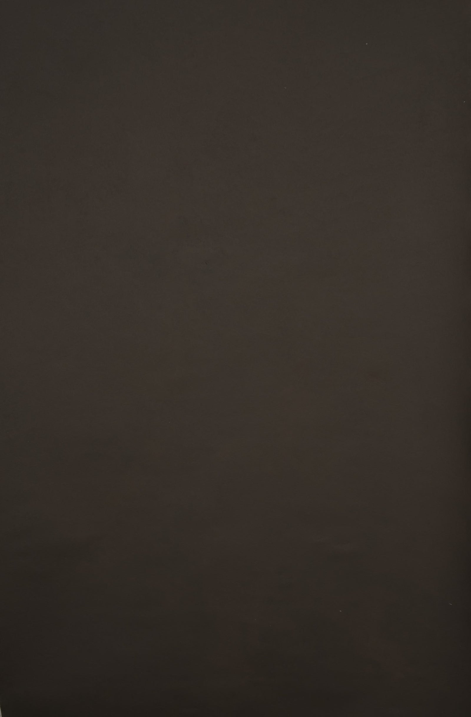 12323 Brown Low Text XS