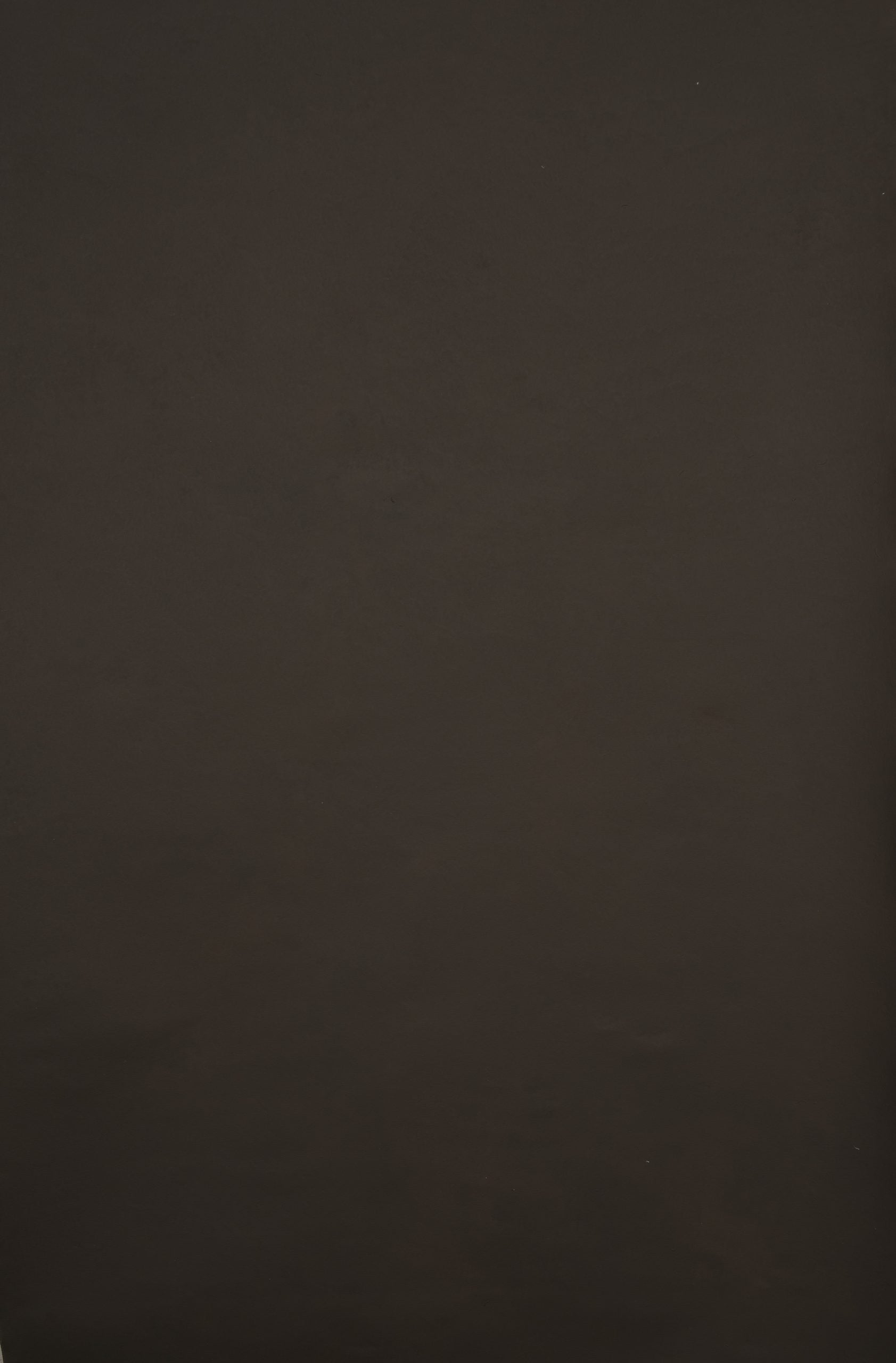 12323 Brown Low Text XS