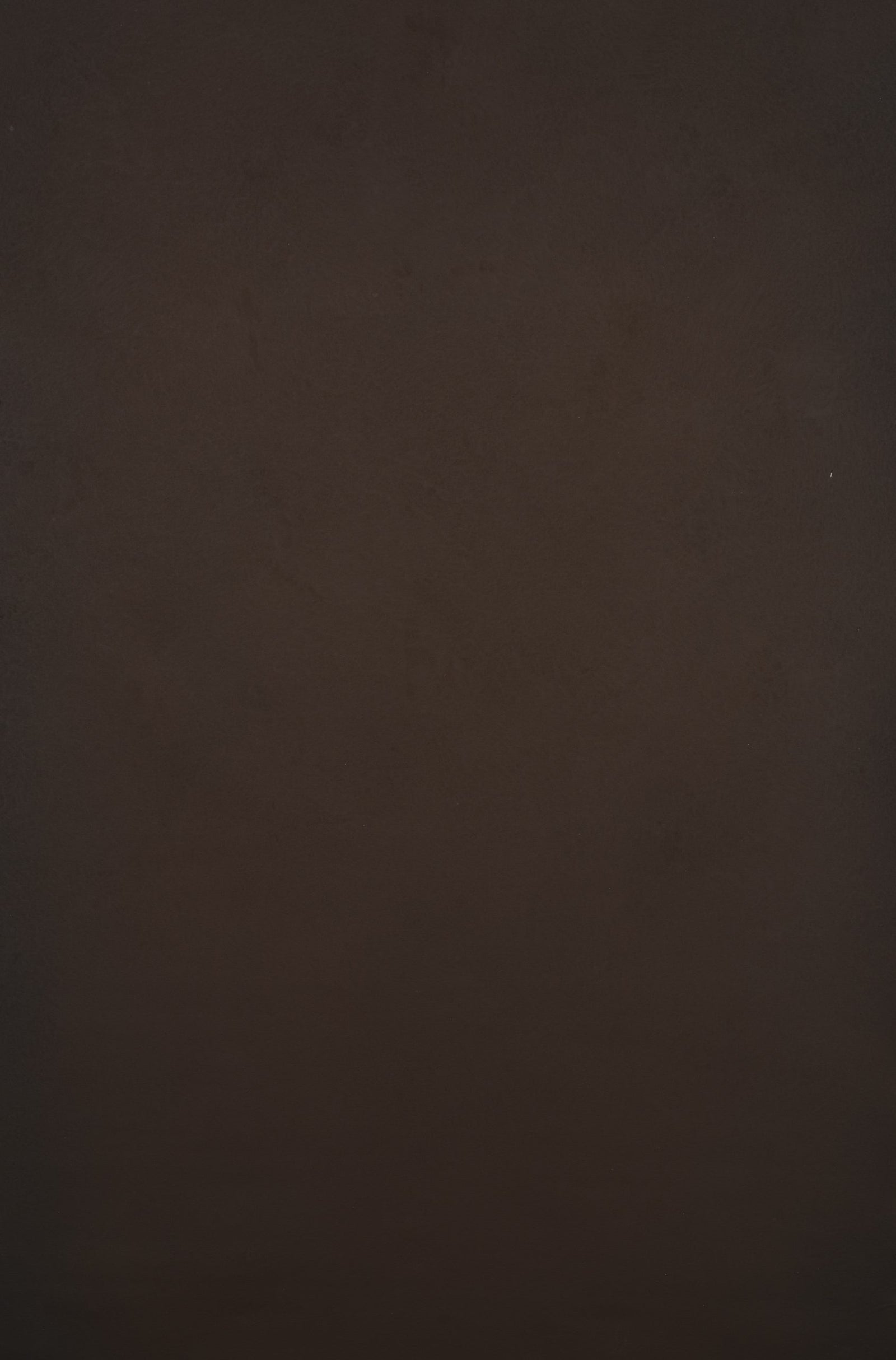 12331 Brown Low Text XS