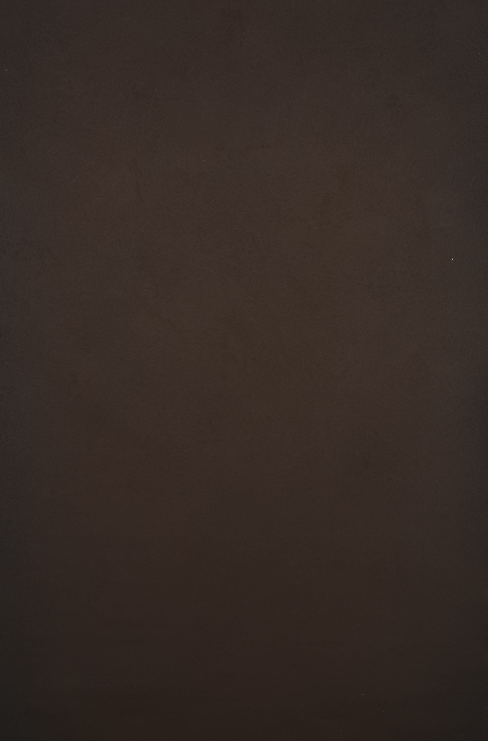 12331 Brown Low Text XS