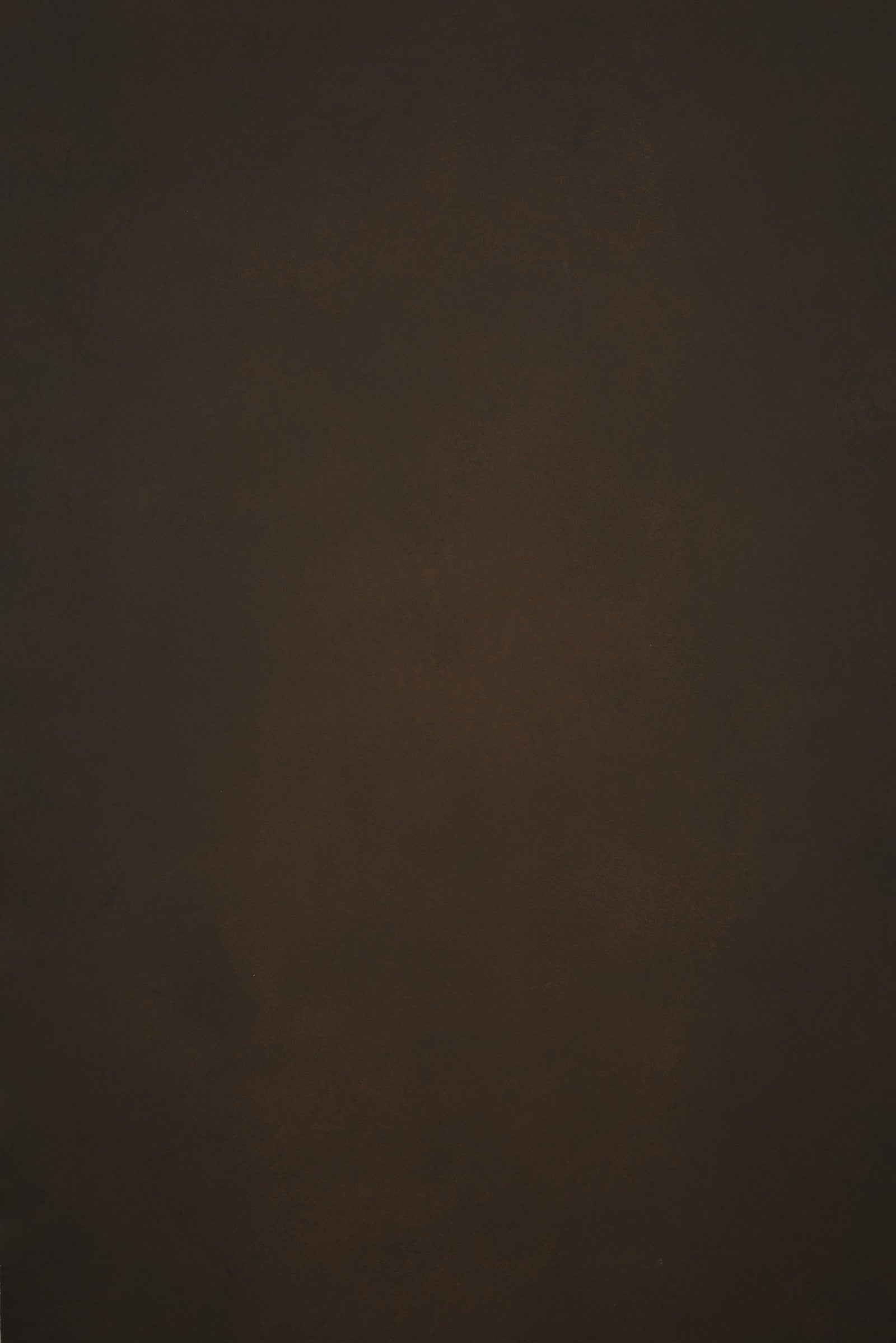 12333 Brown Low Text XS