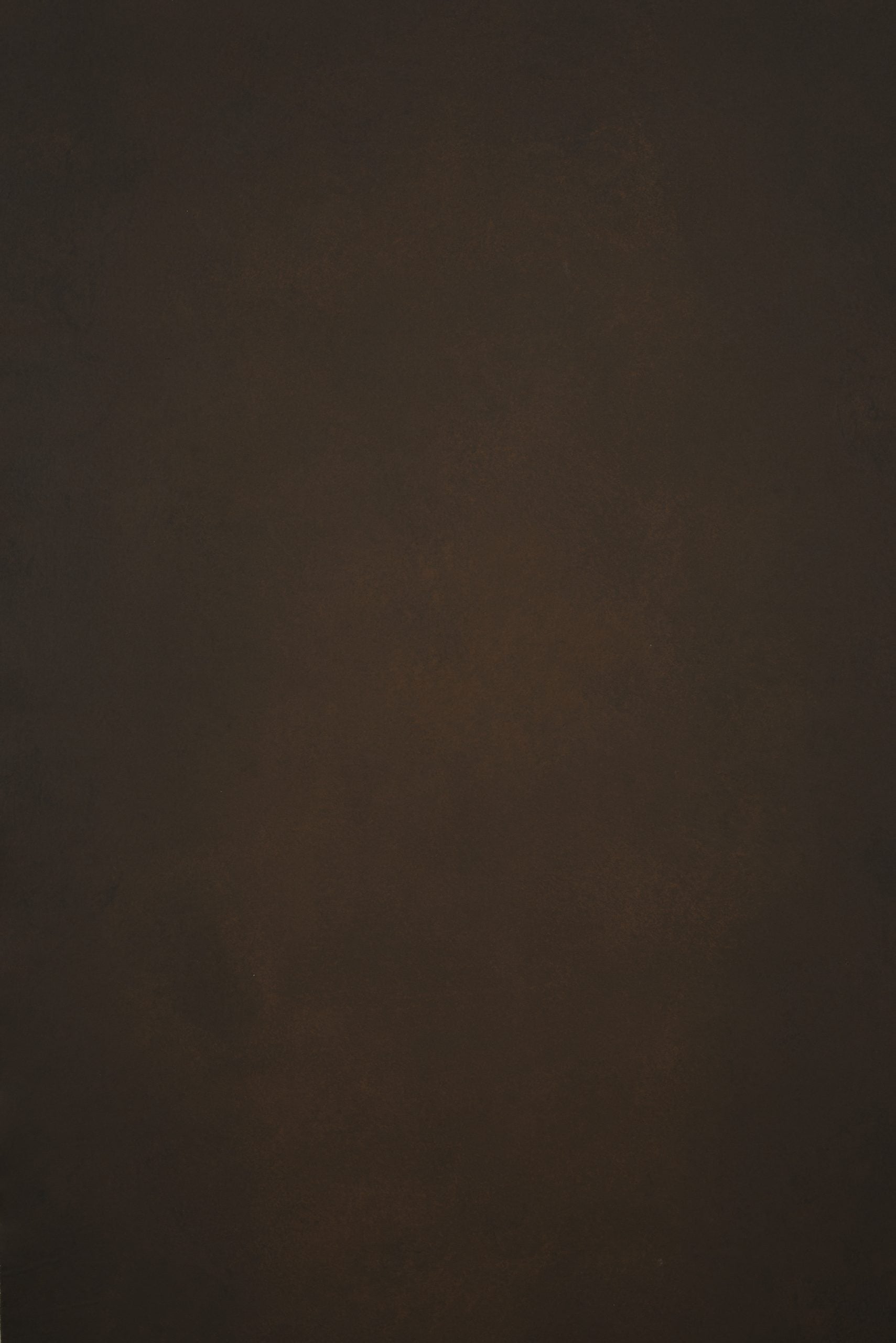 12333 Brown Low Text XS