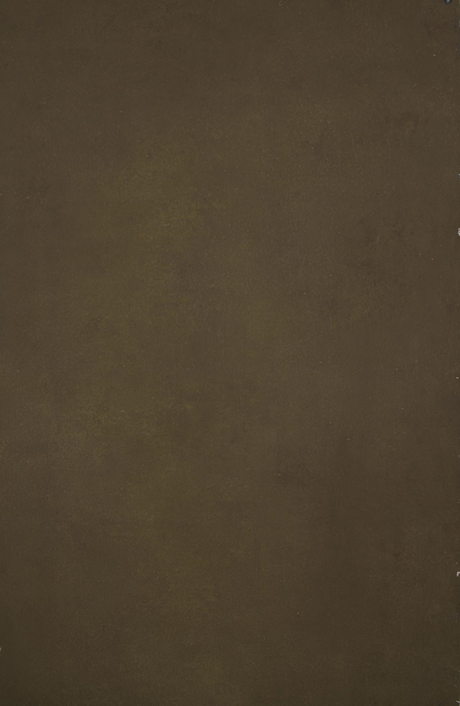 12340 Brown Distressed Text XS