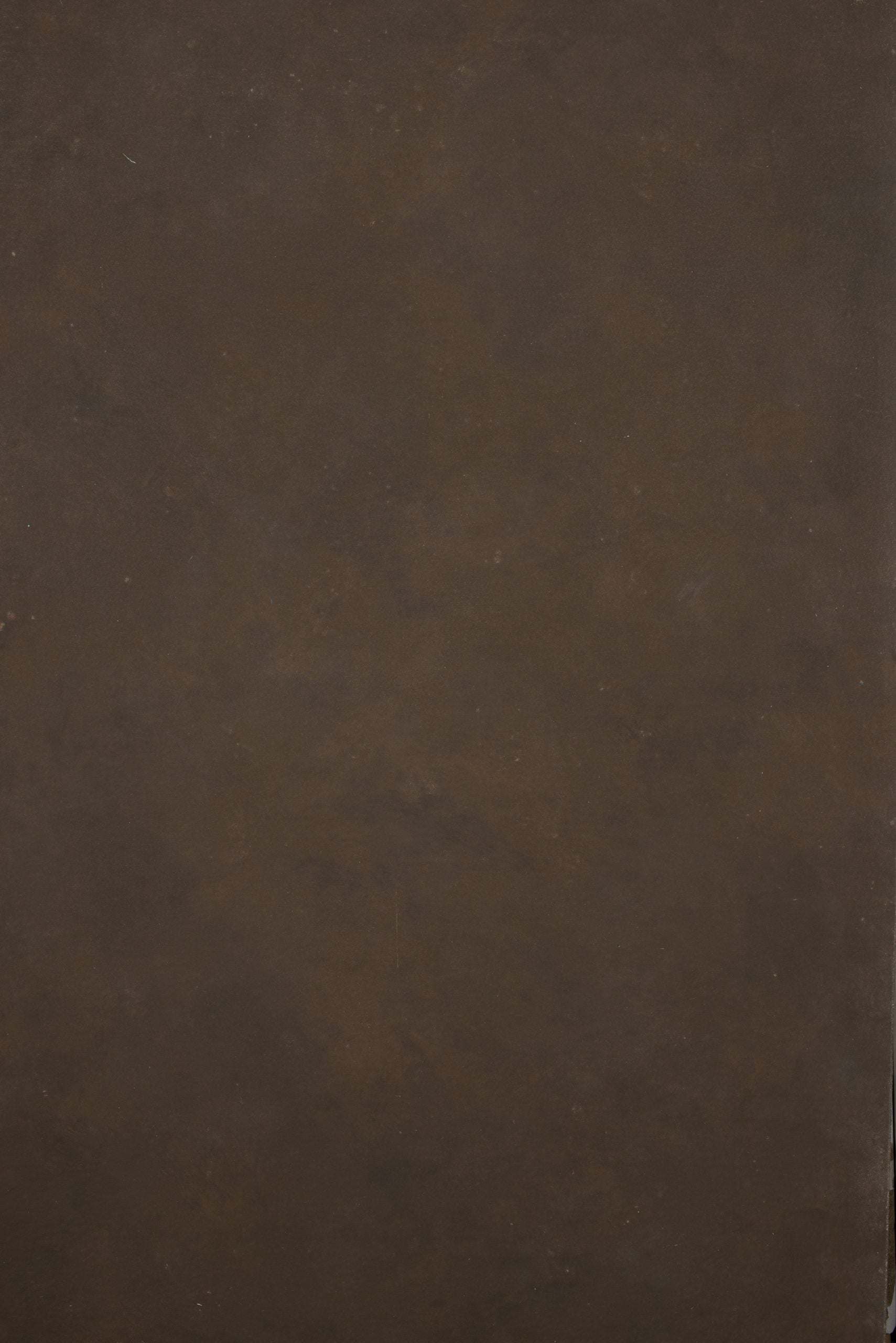 12342 Brown Distressed Text XS
