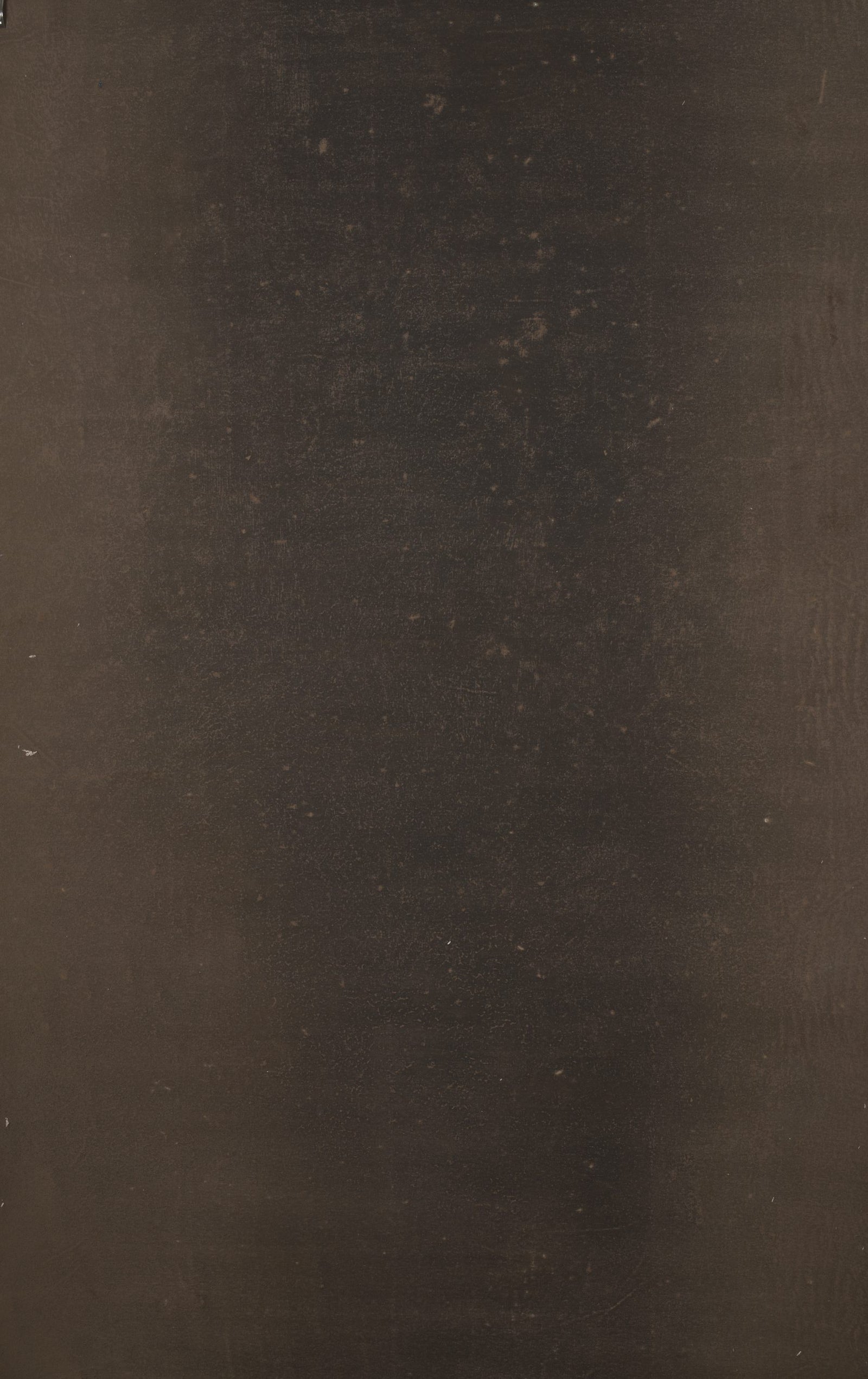 12344 Brown Distressed Text XS