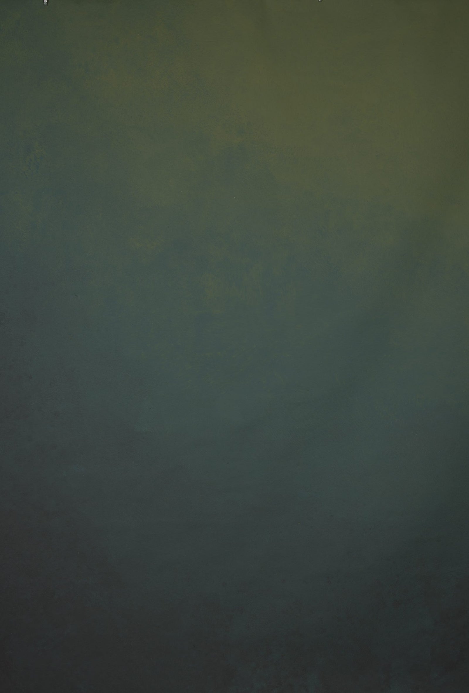 1235 Blue Green Mid Text L+