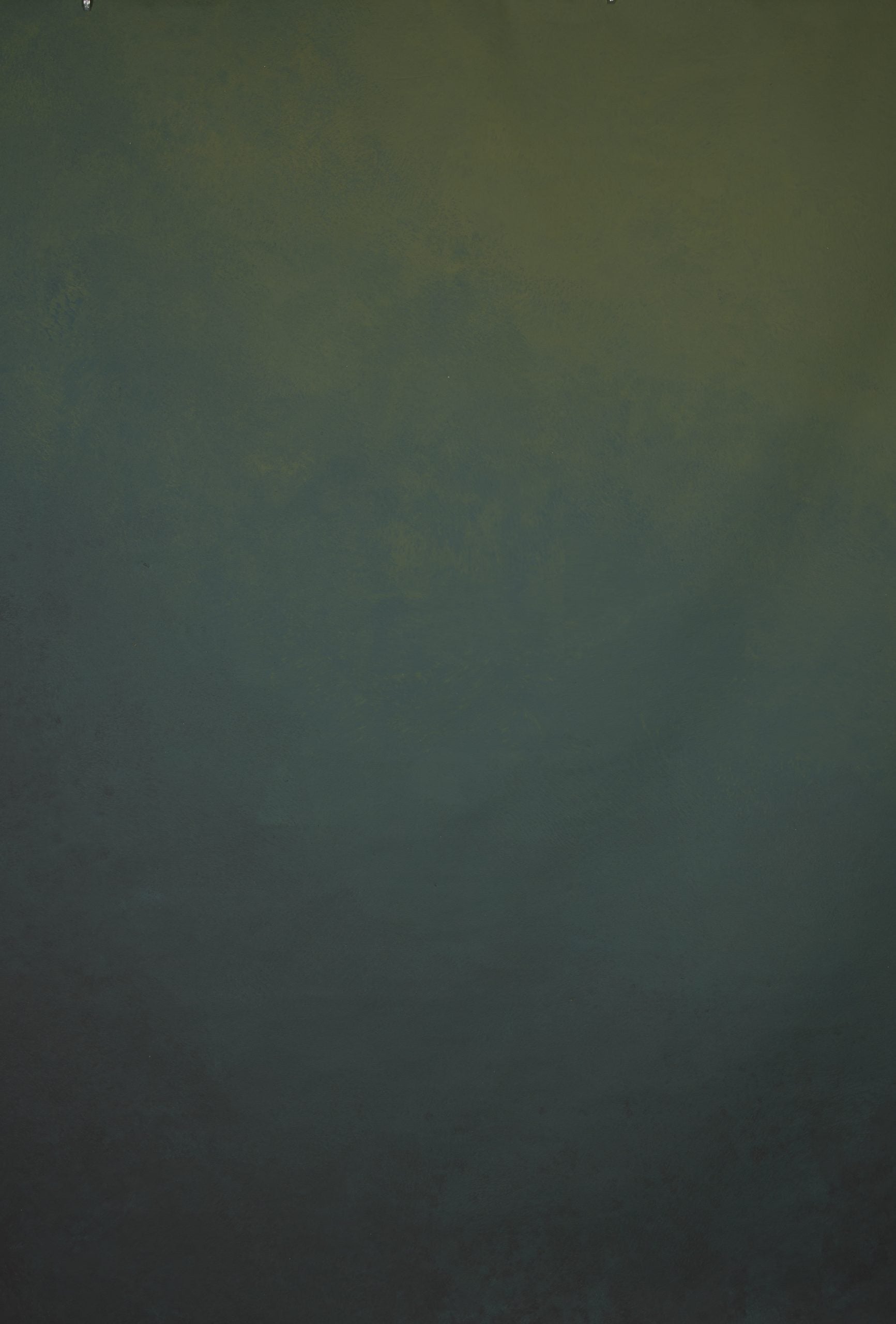 1235 Blue Green Mid Text L+