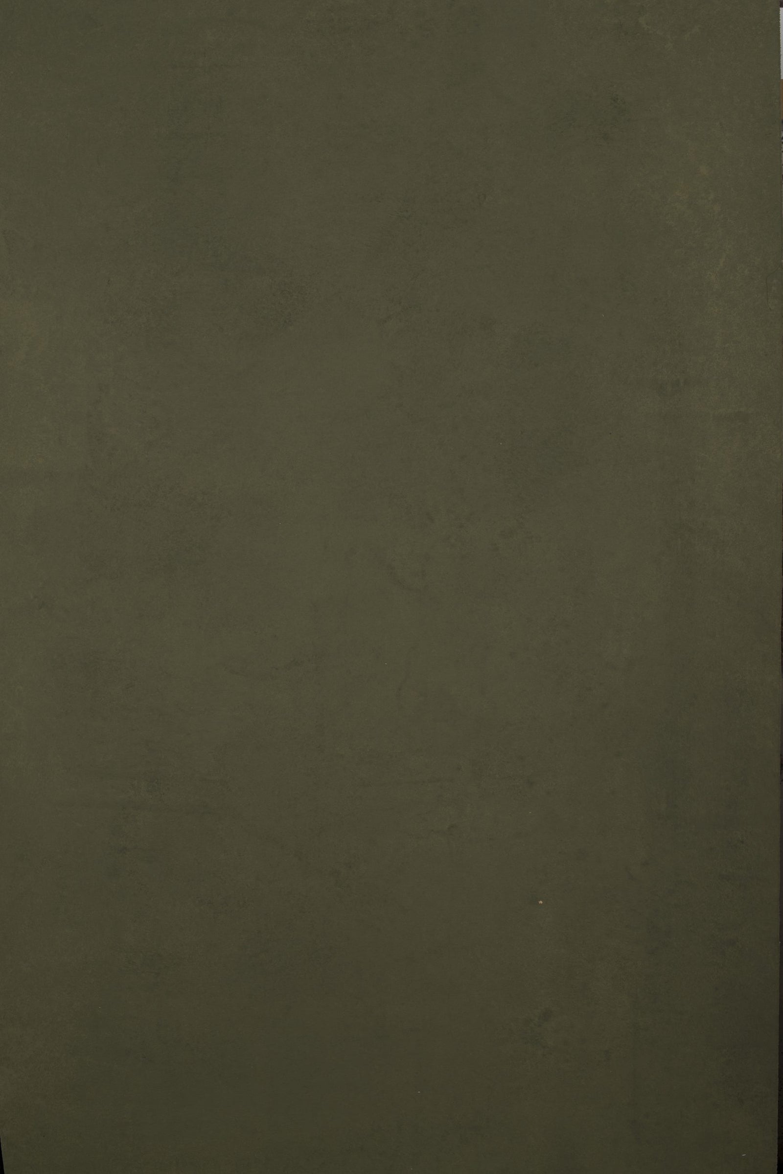 12351 Green Low Text XS