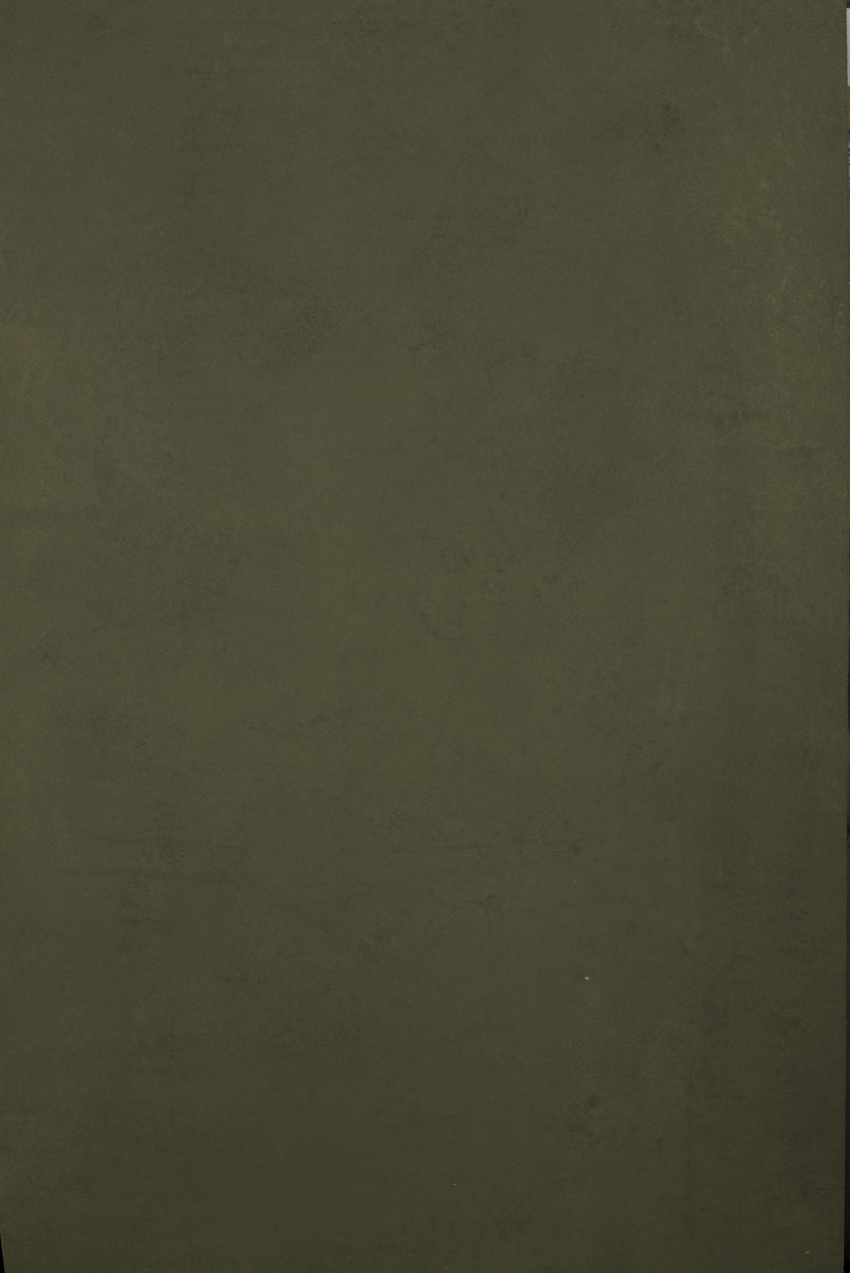 12351 Green Low Text XS