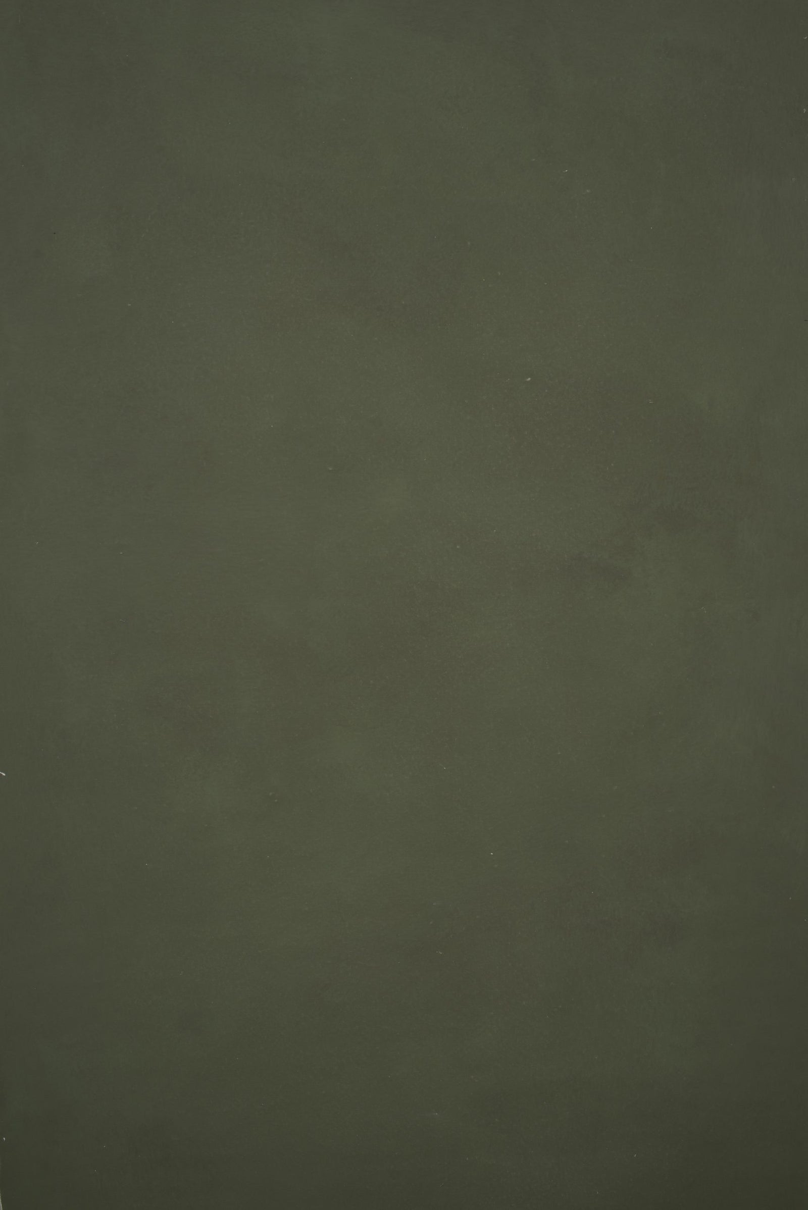 12362 Green Distressed Text XS