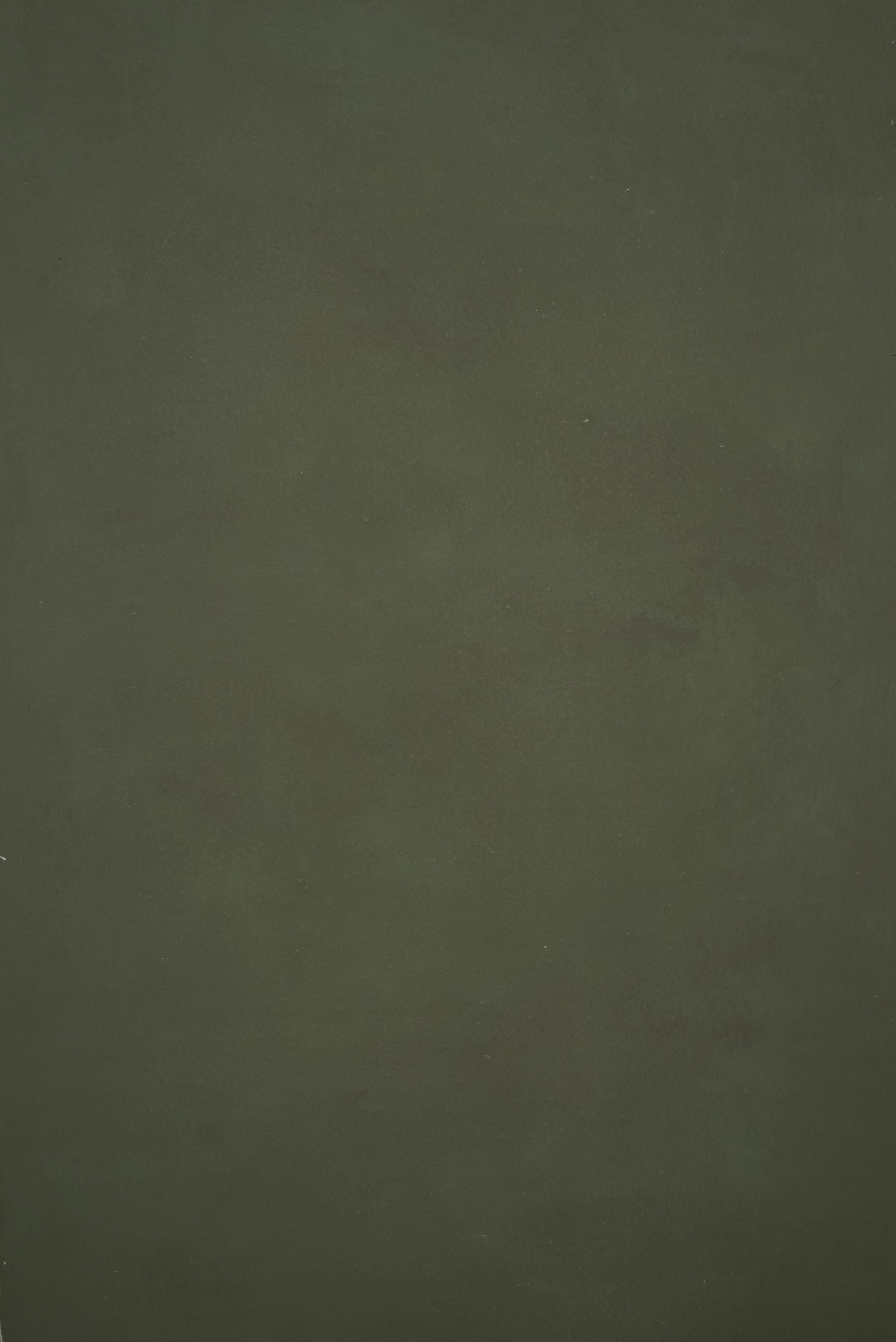 12362 Green Distressed Text XS