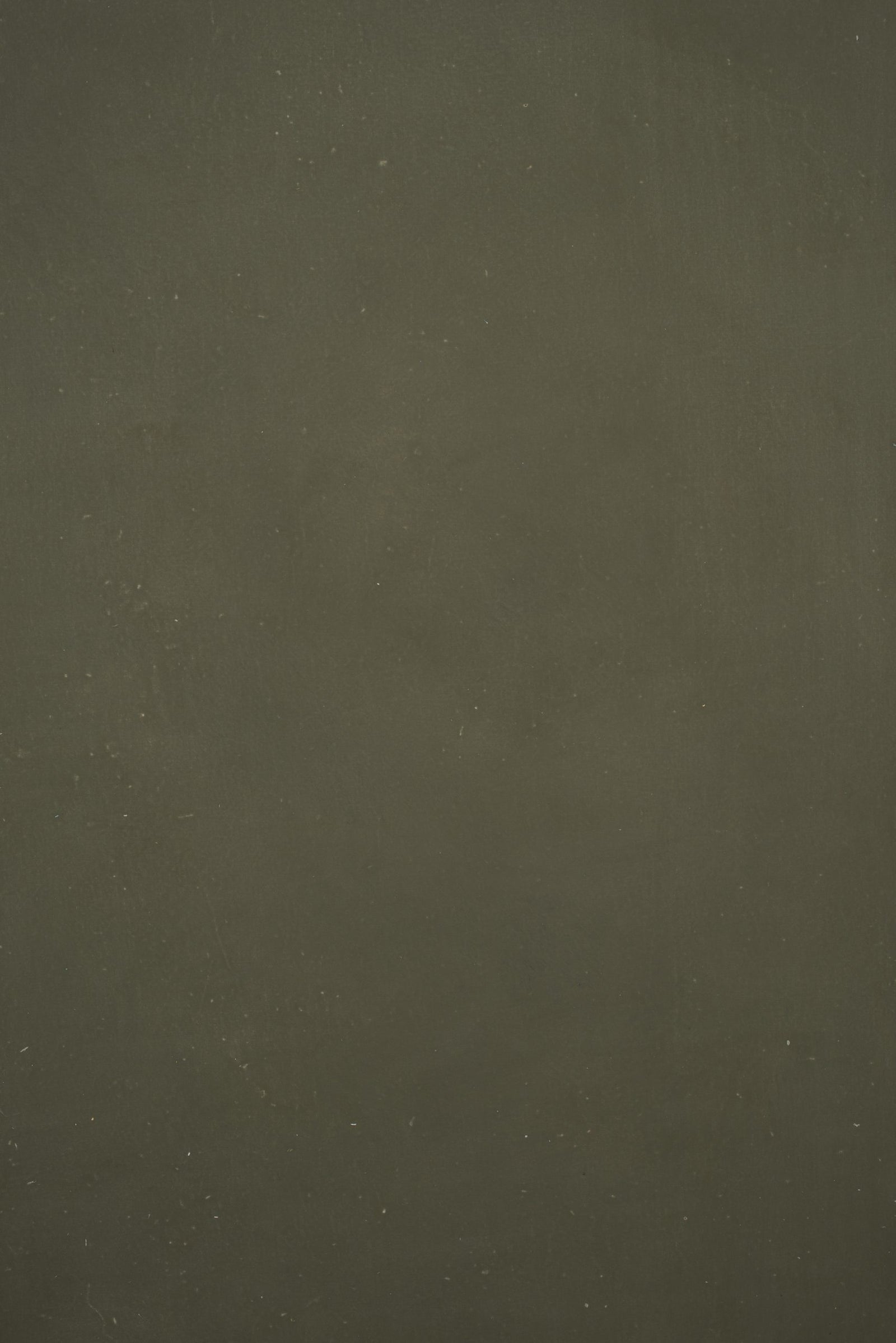 12364 Green Distressed Text XS