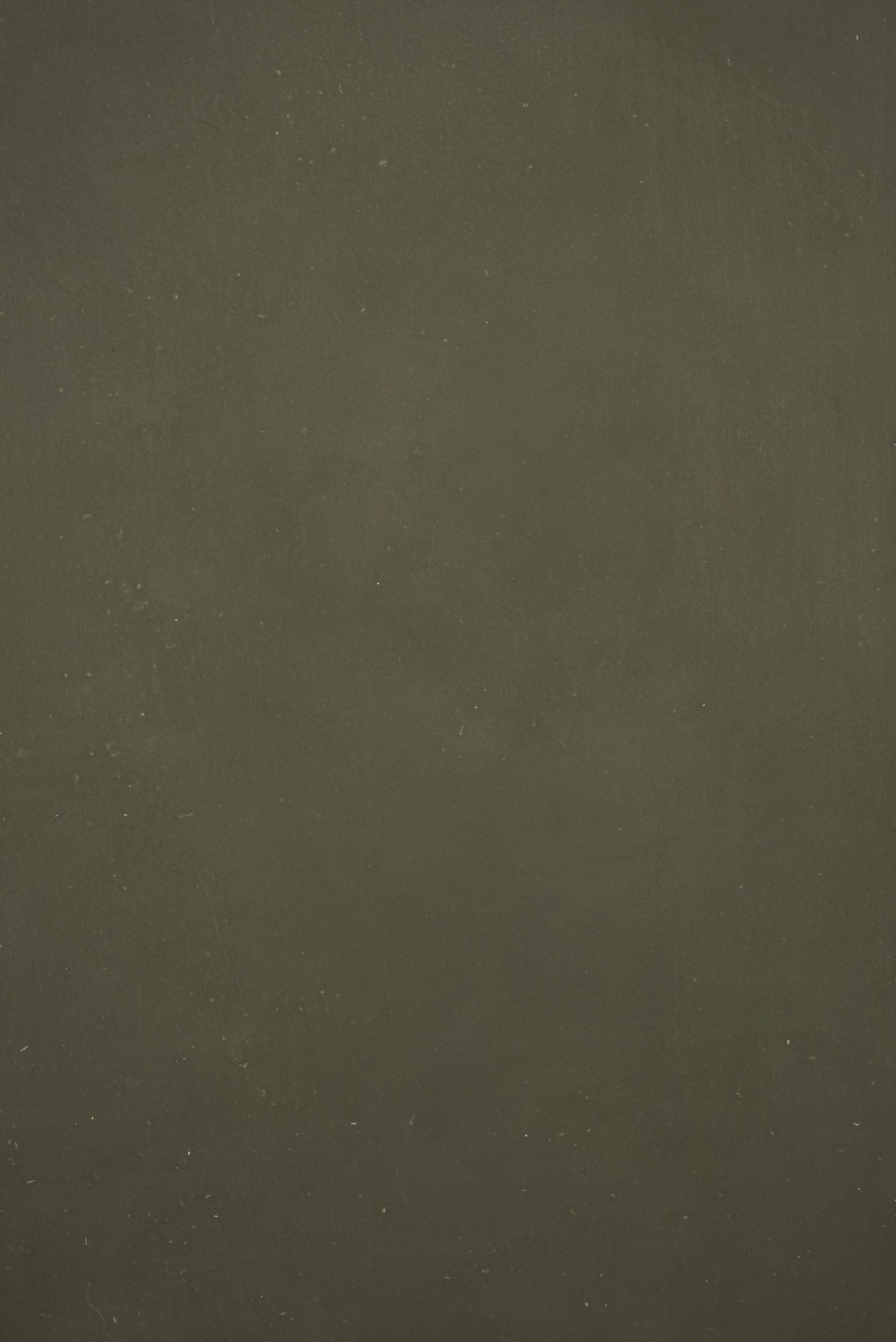 12364 Green Distressed Text XS