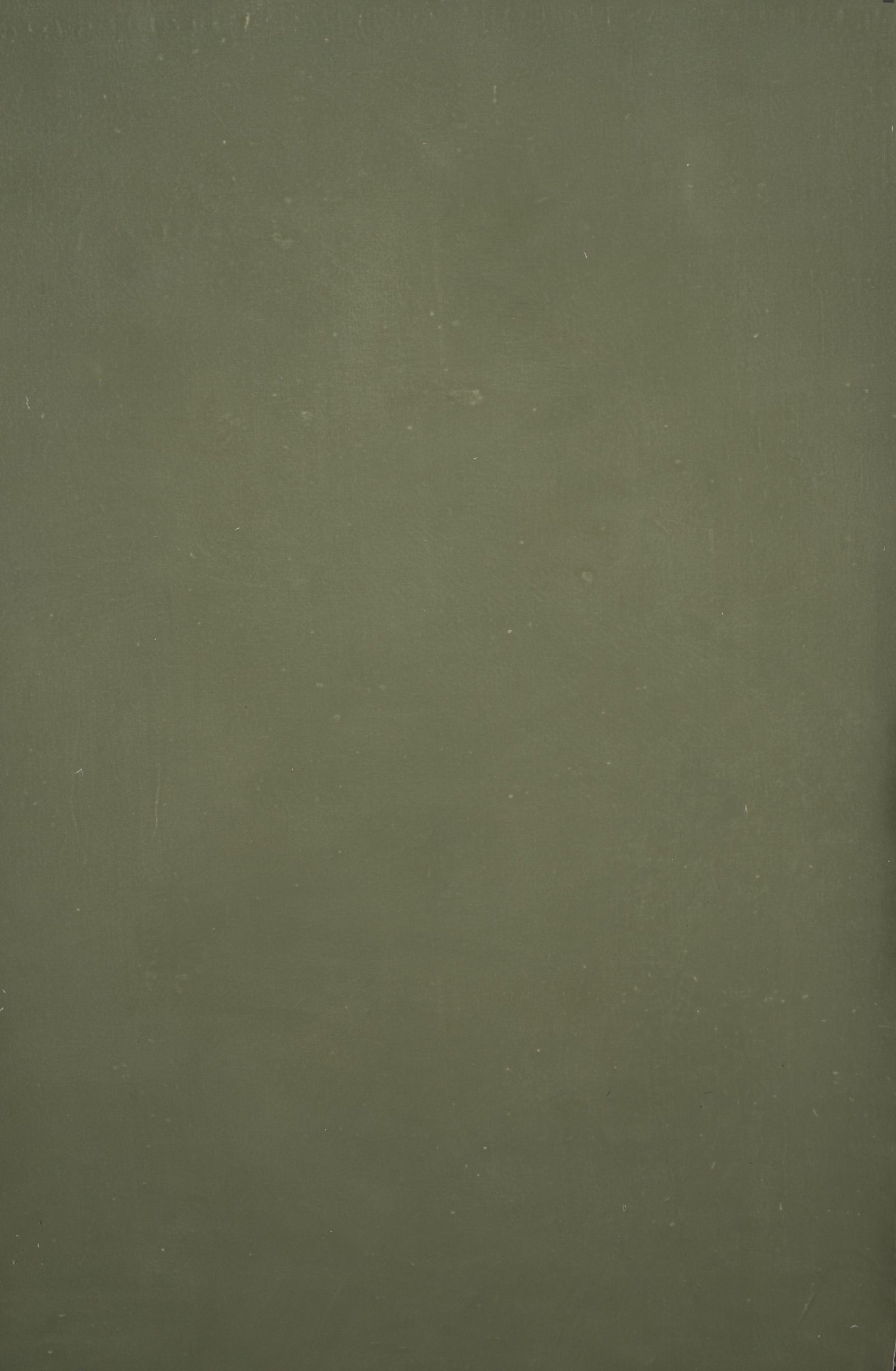 12365 Green Distressed Text XS