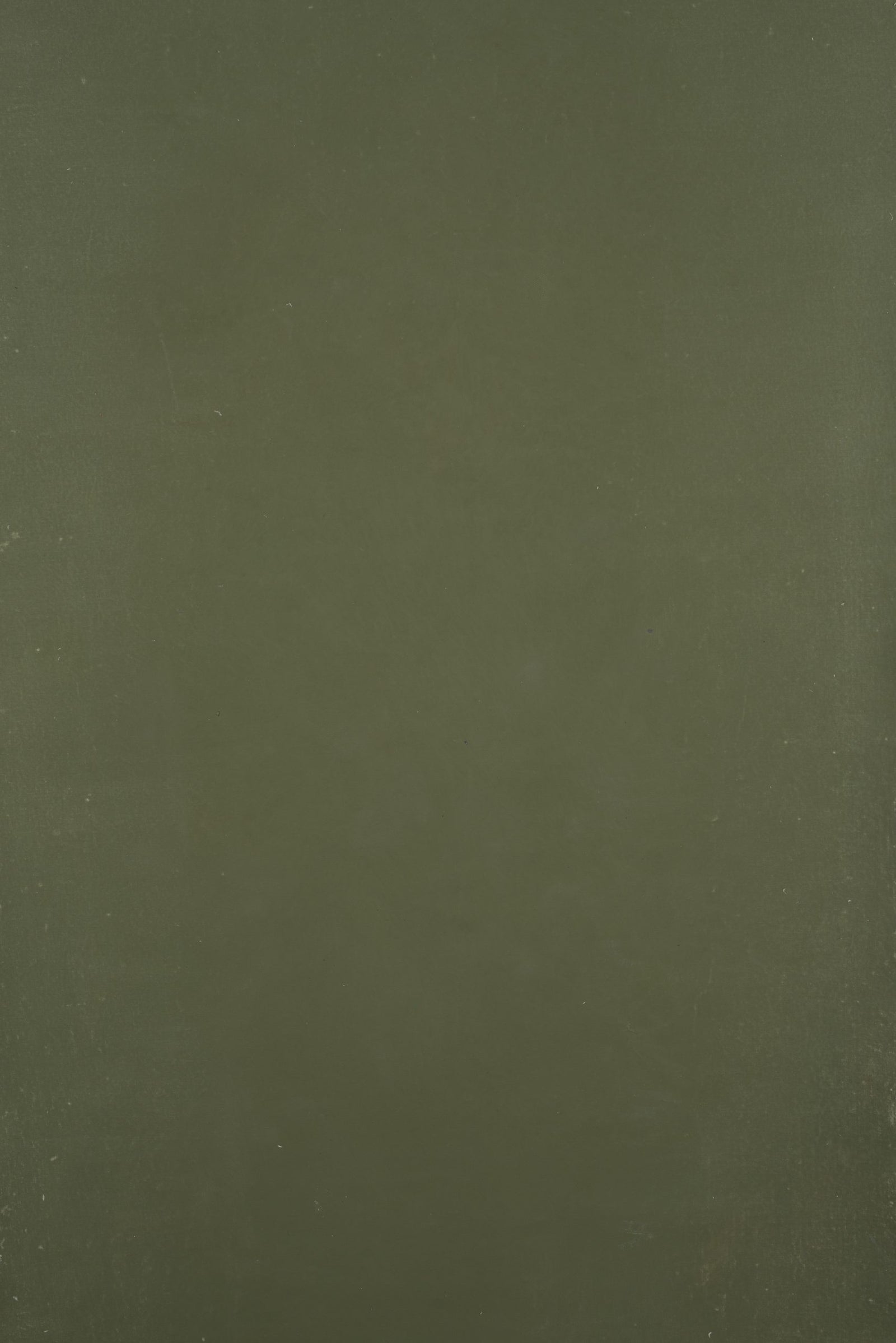 12366 Green Distressed Text XS