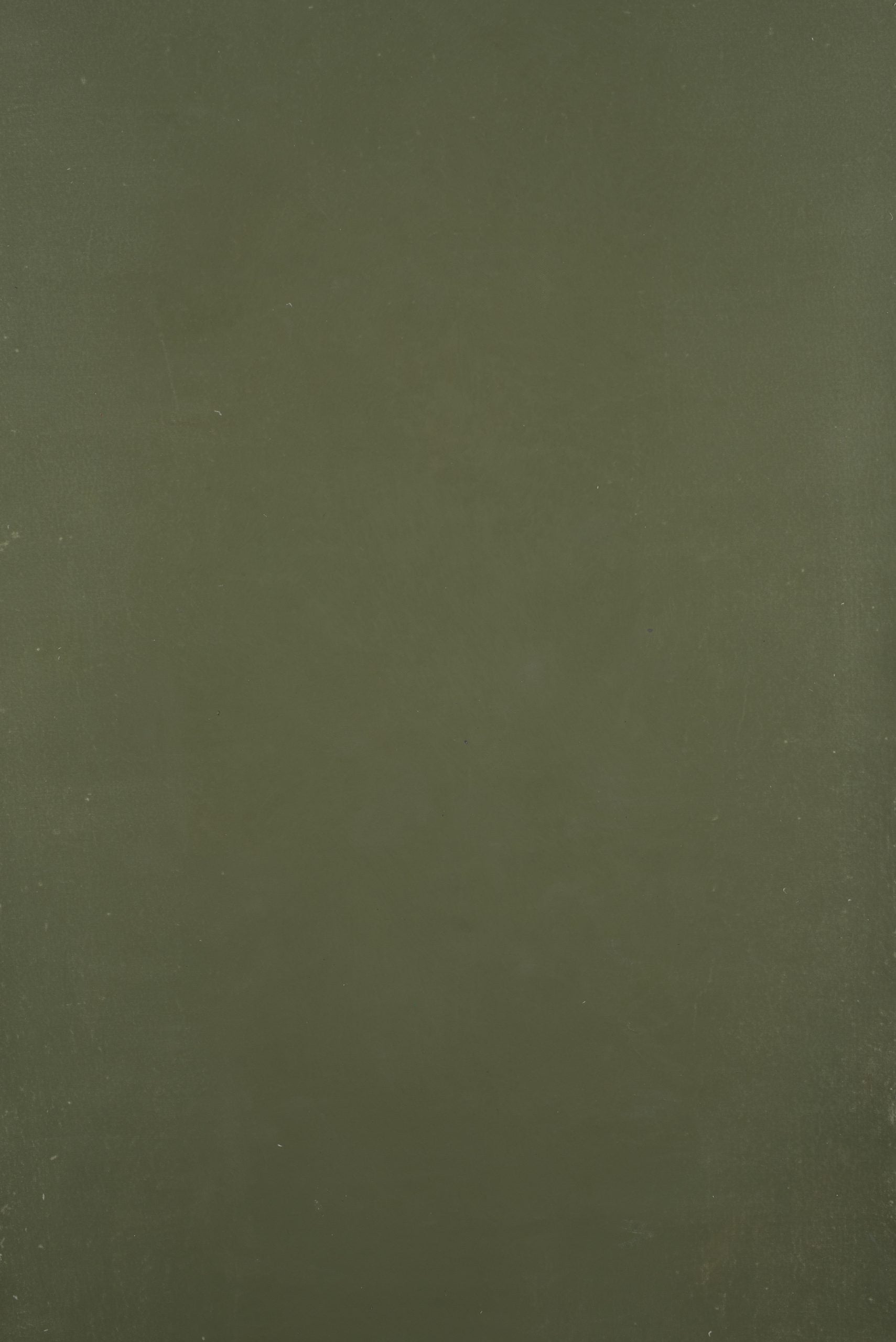 12366 Green Distressed Text XS