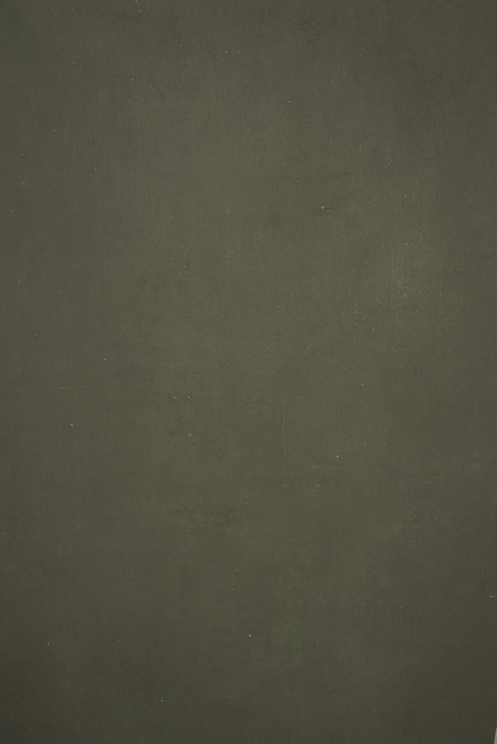 12377 Green Grey Distressed Text XS