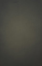 12387 Olive Green Low Text XS