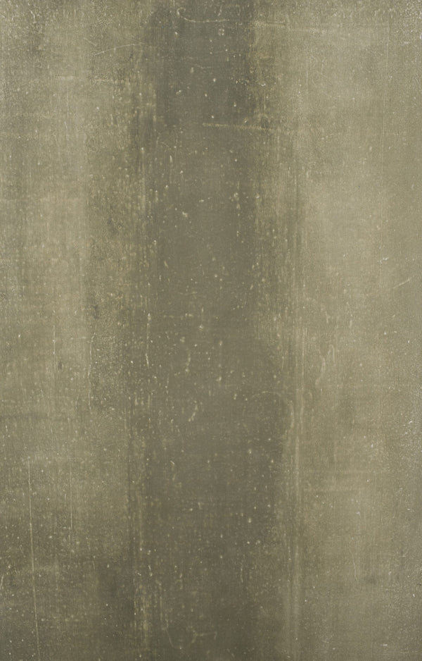 12389 Olive Green Distressed Text XS